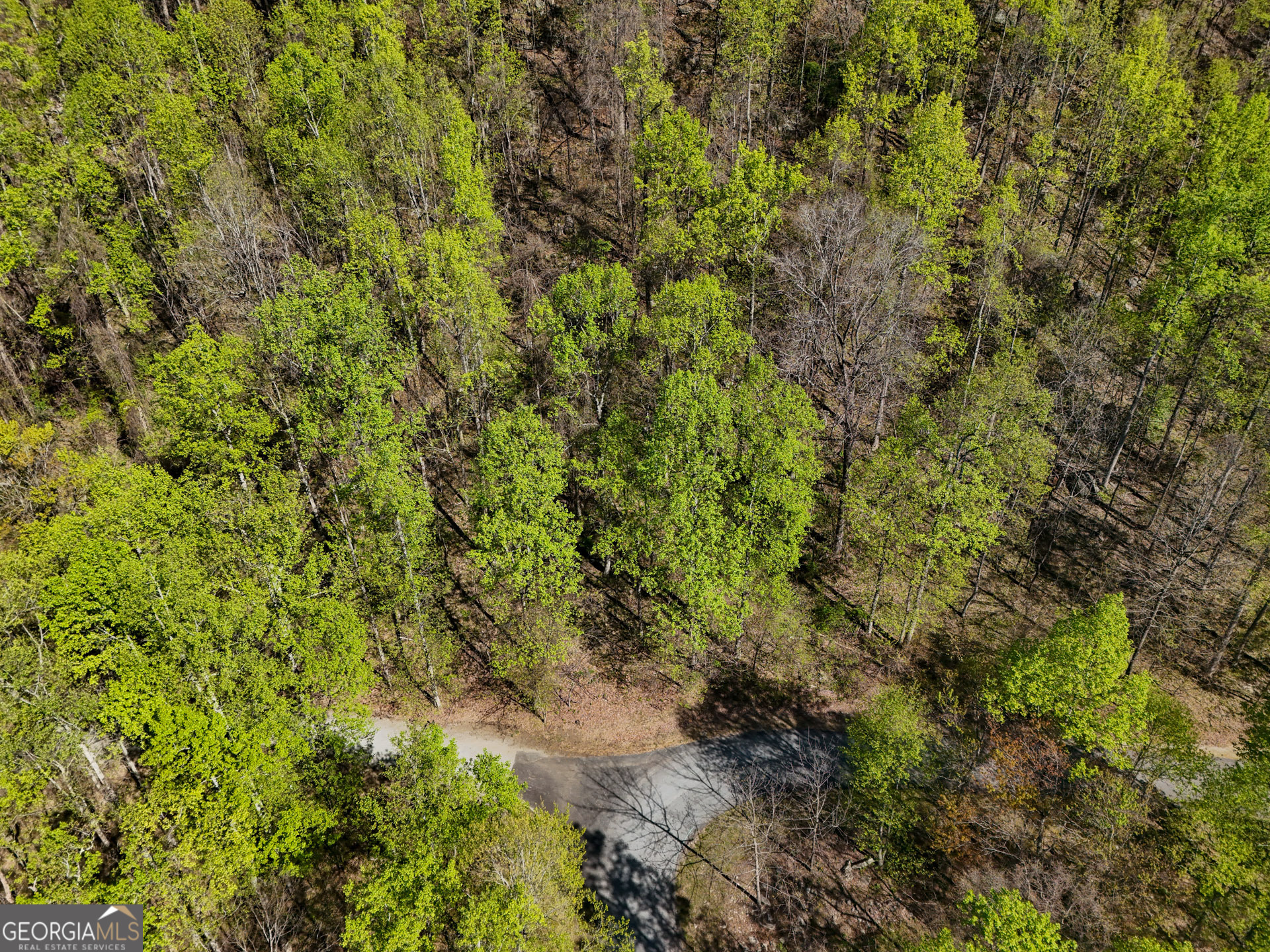 0 Winding View Drive Property Photo 4