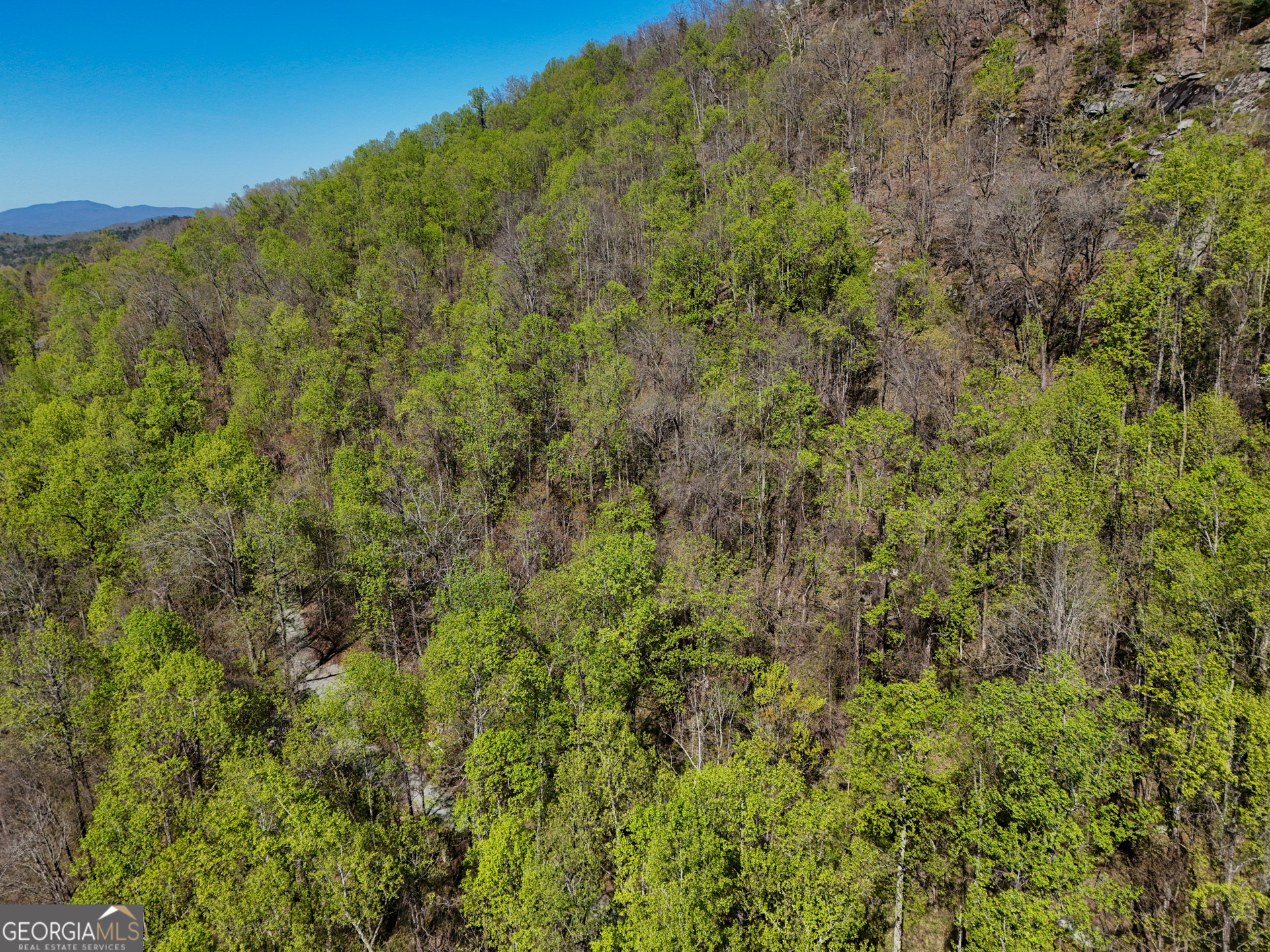 0 Winding View Drive Property Photo 6