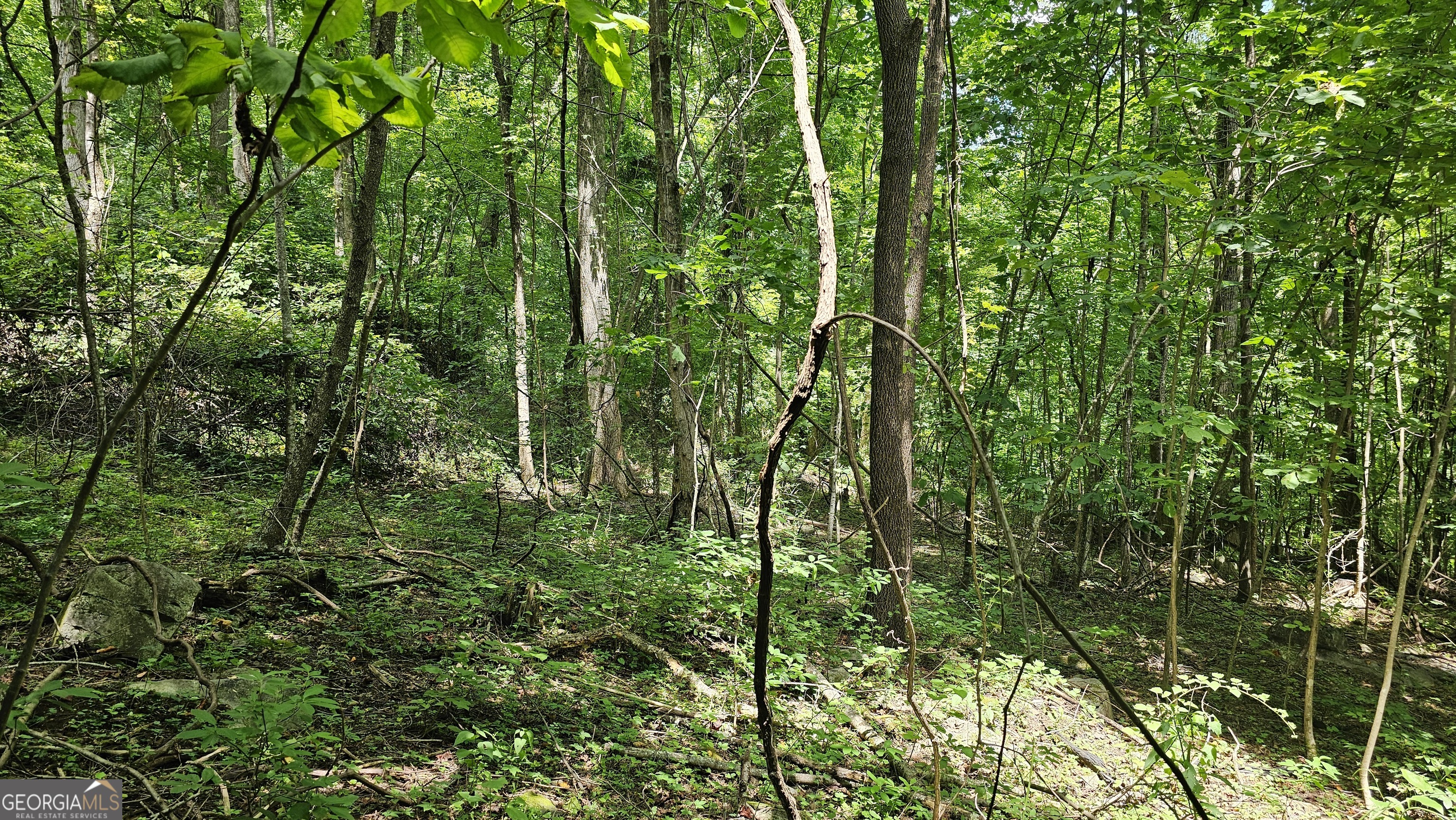 0 Winding View Drive Property Photo 11