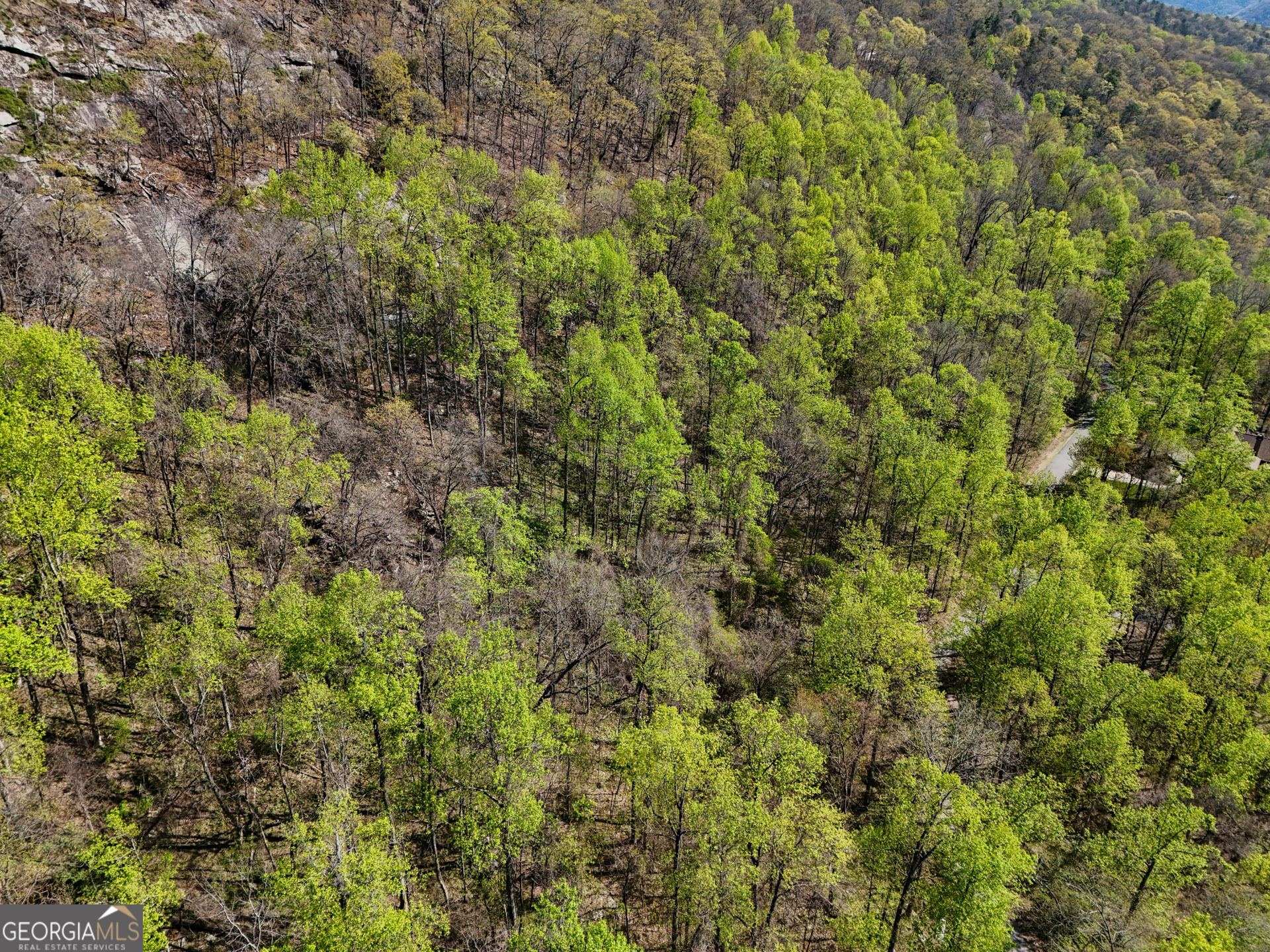 0 Winding View Drive Property Photo 12