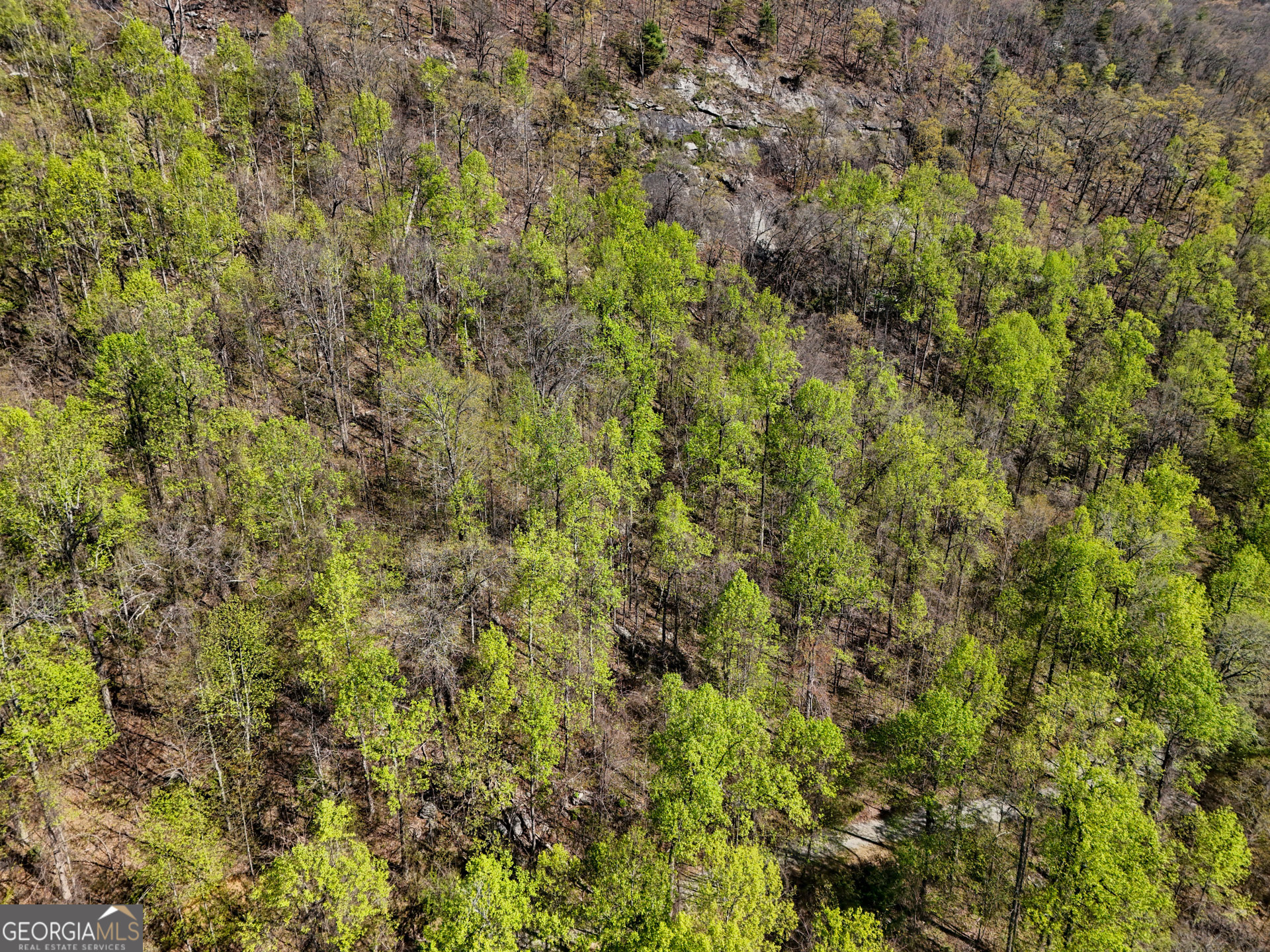 0 Winding View Drive Property Photo 5