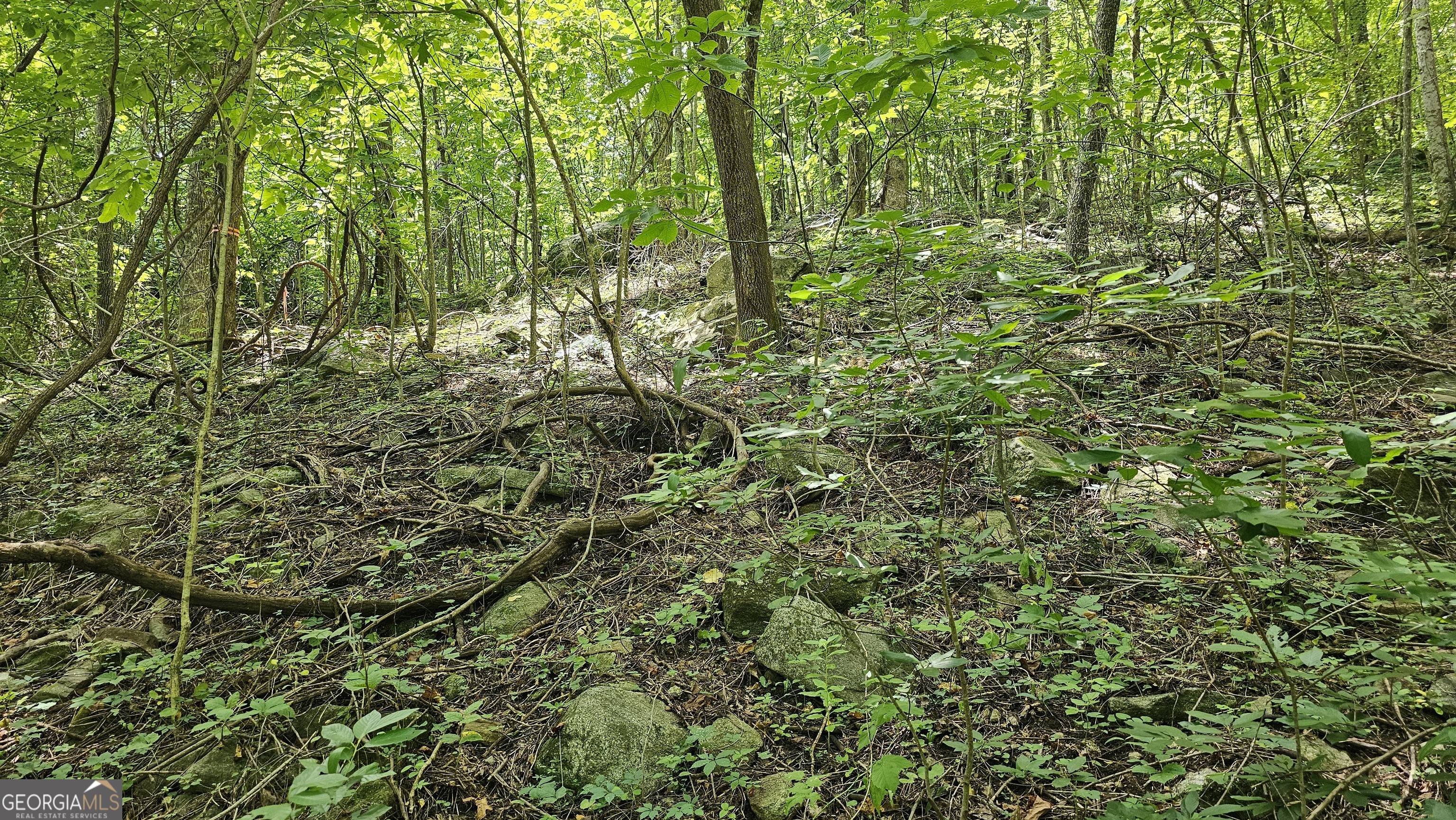 0 Winding View Drive Property Photo 6