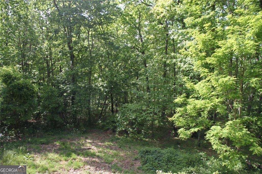 168 Green Cabin Way Property Photo 5