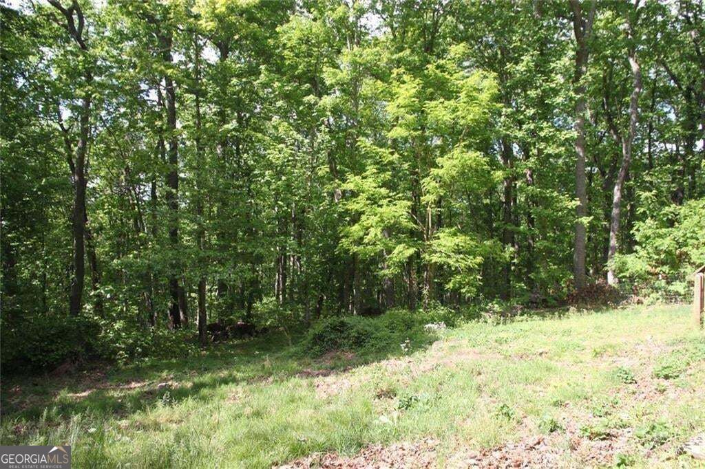 168 Green Cabin Way Property Photo 6