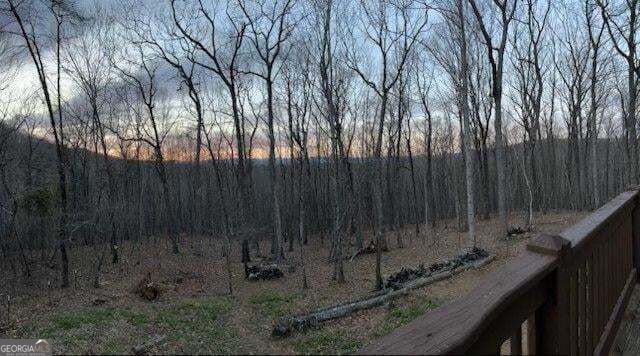 168 Green Cabin Way Property Photo 34