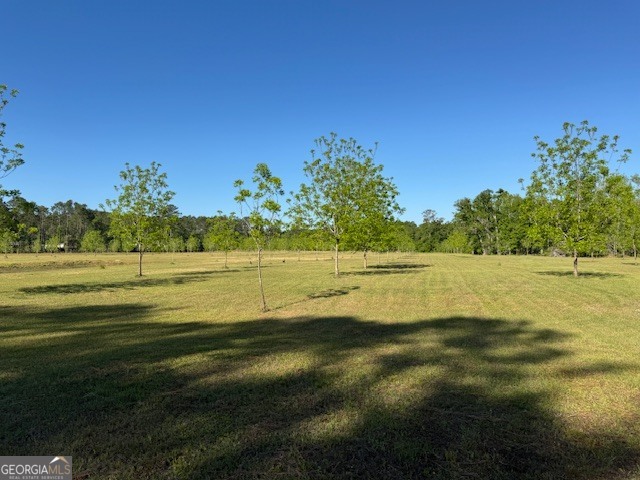176 Niederriter Lane Property Photo 20