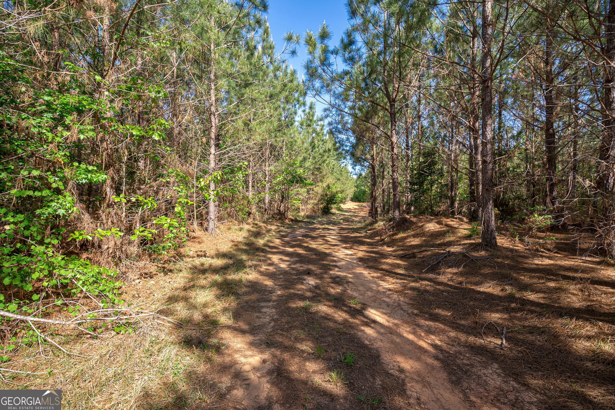 0 Brewer's Bridge Road Property Photo 4