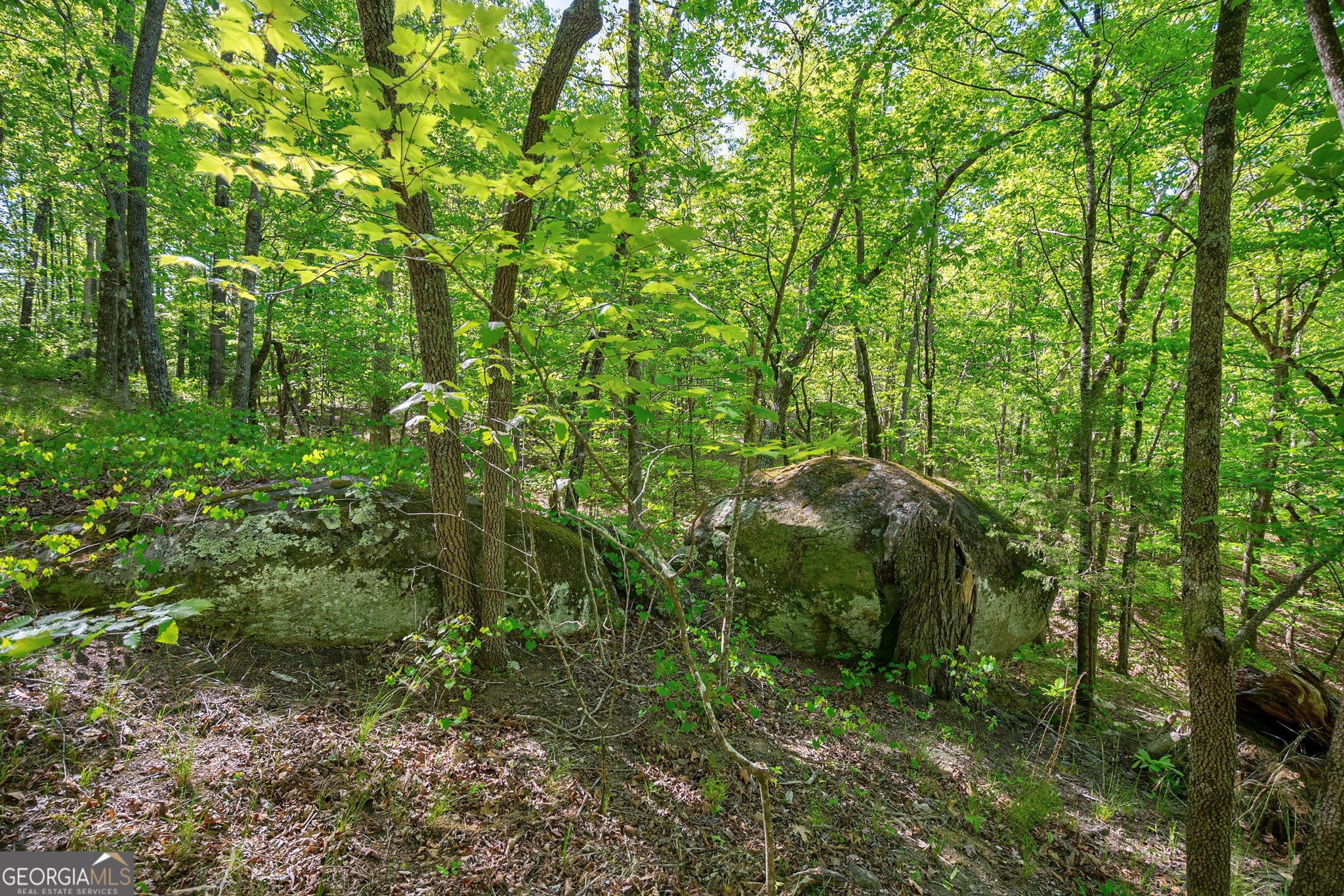 0 Brewer's Bridge Road Property Photo 6