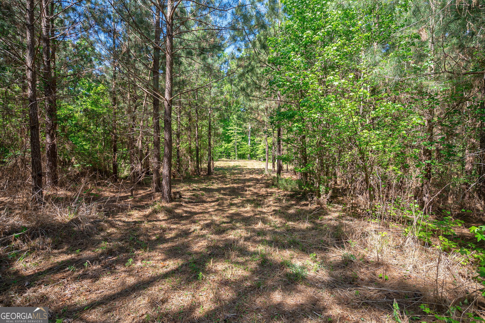0 Brewer's Bridge Road Property Photo 13