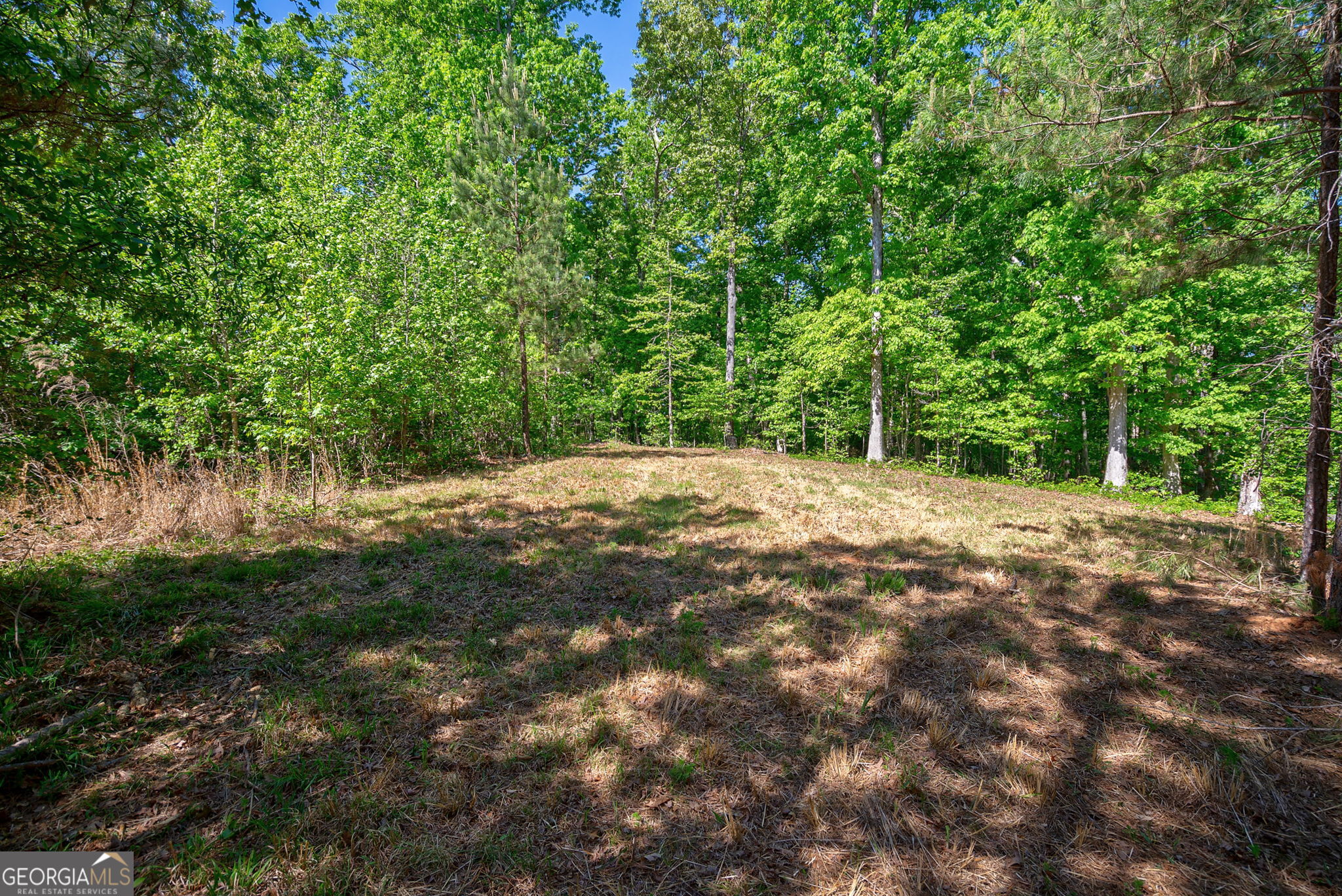 0 Brewer's Bridge Road Property Photo 14