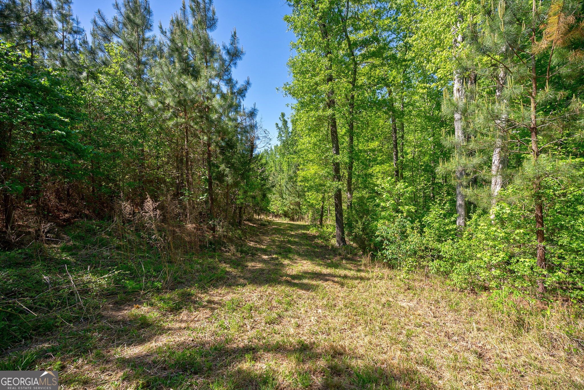 0 Brewer's Bridge Road Property Photo 15