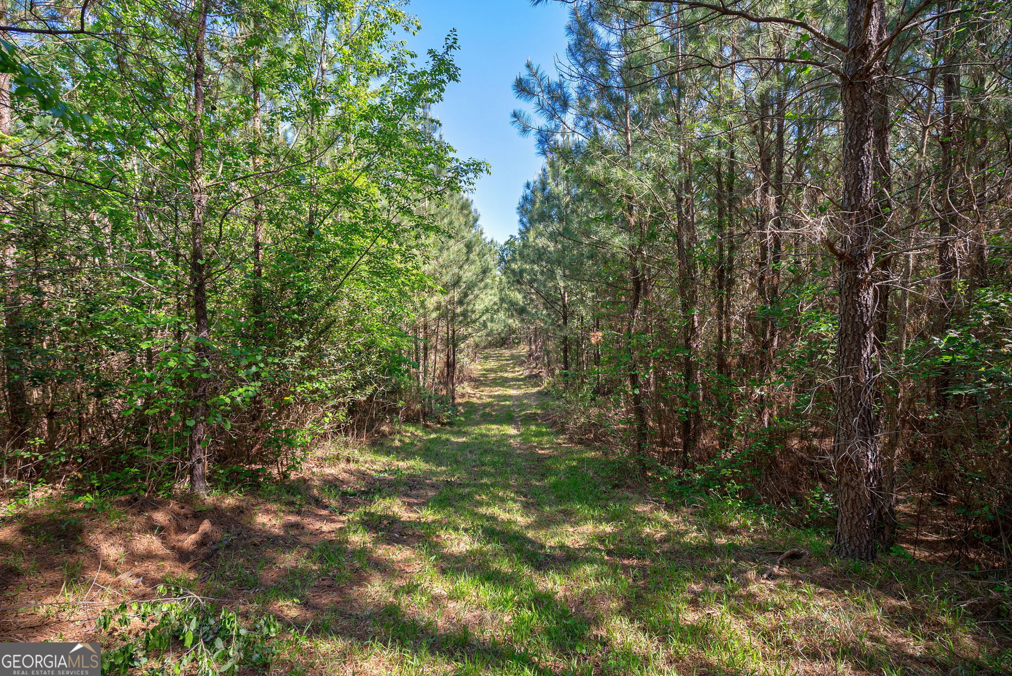 0 Brewer's Bridge Road Property Photo 36