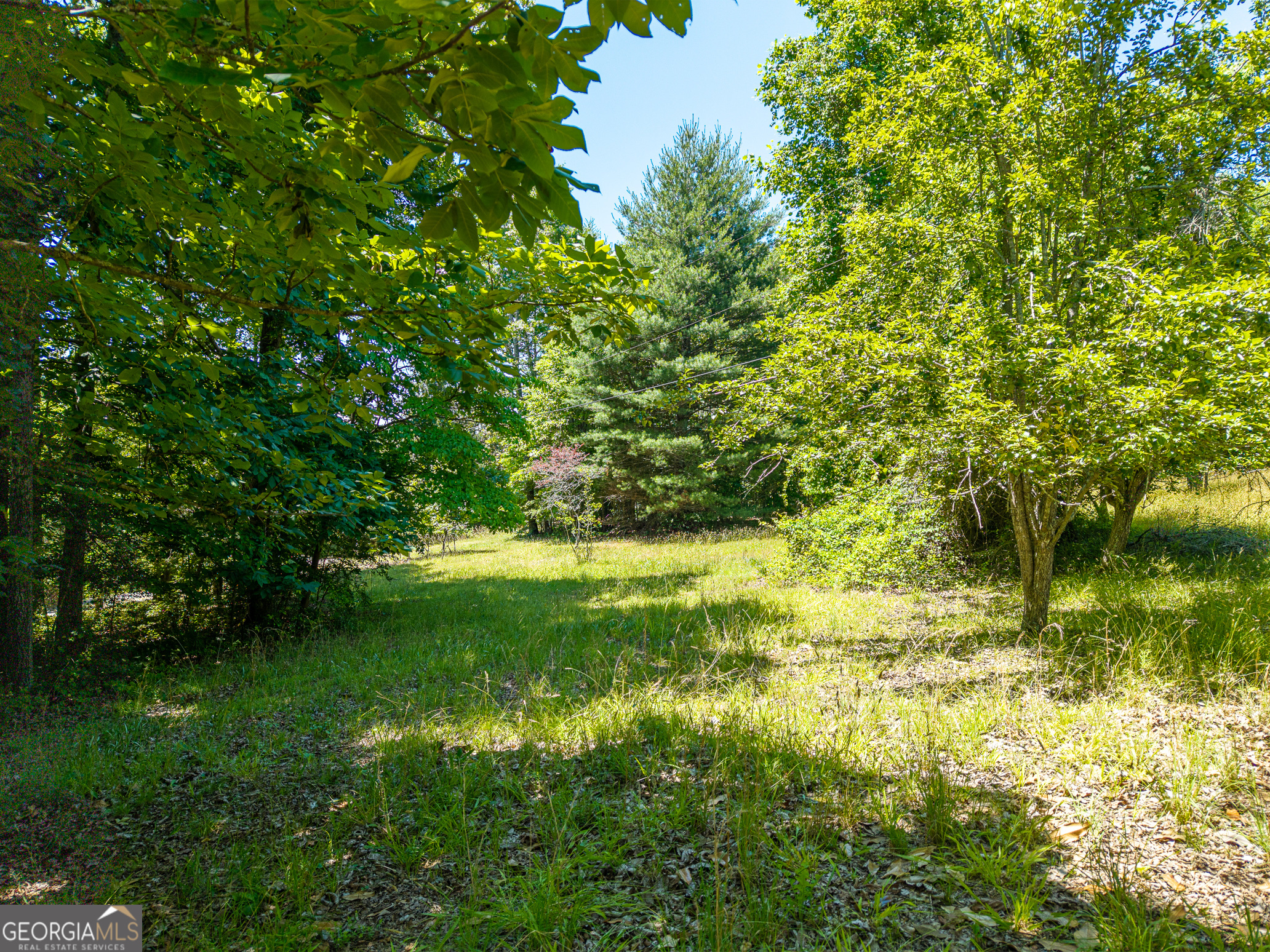 46 Green Kirby Lane Property Photo 5