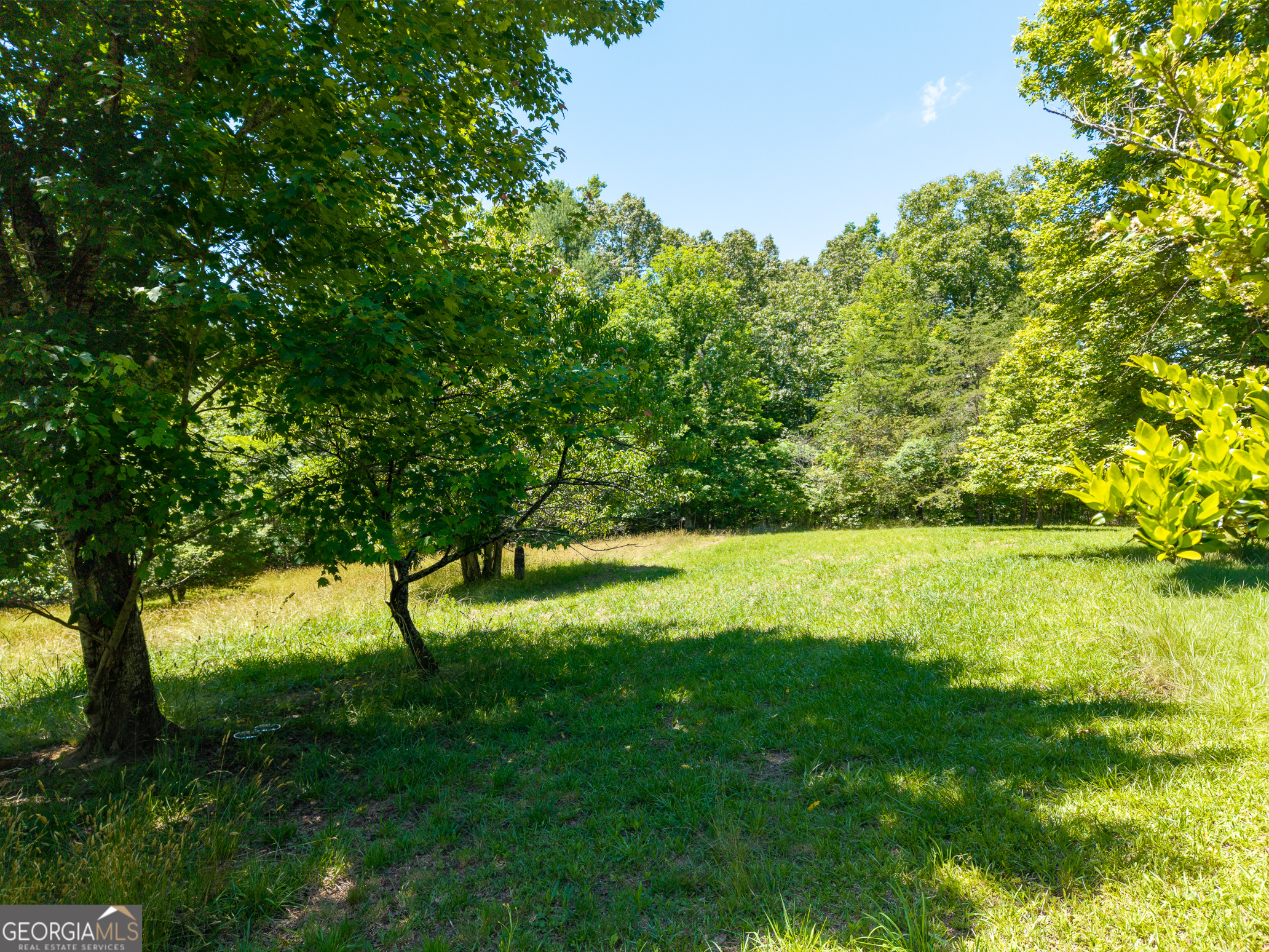 46 Green Kirby Lane Property Photo 9