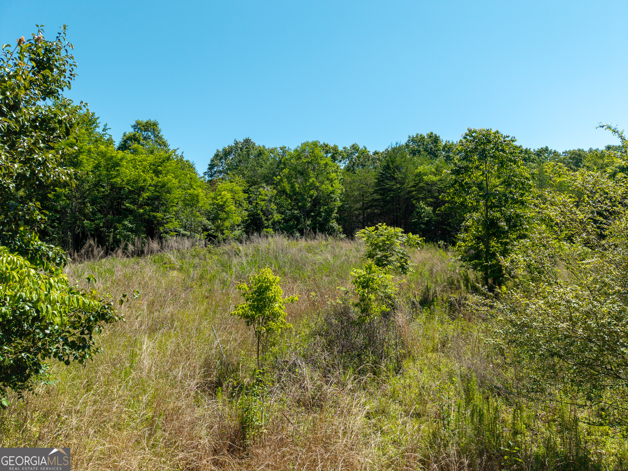 46 Green Kirby Lane Property Photo 11