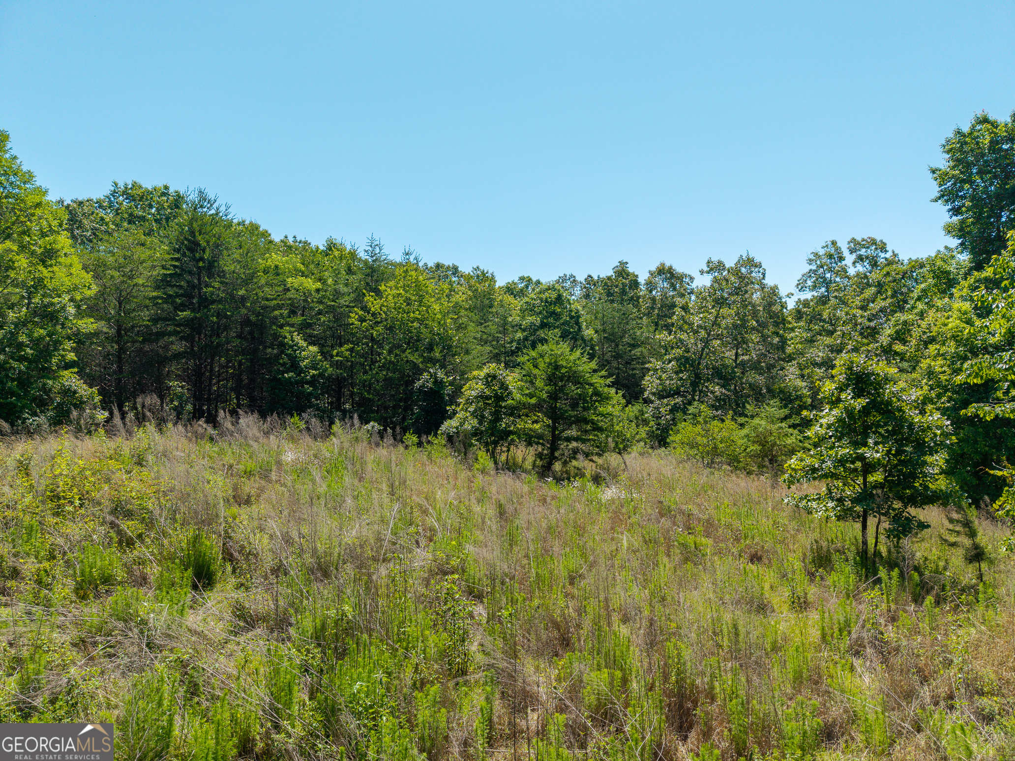 46 Green Kirby Lane Property Photo 13