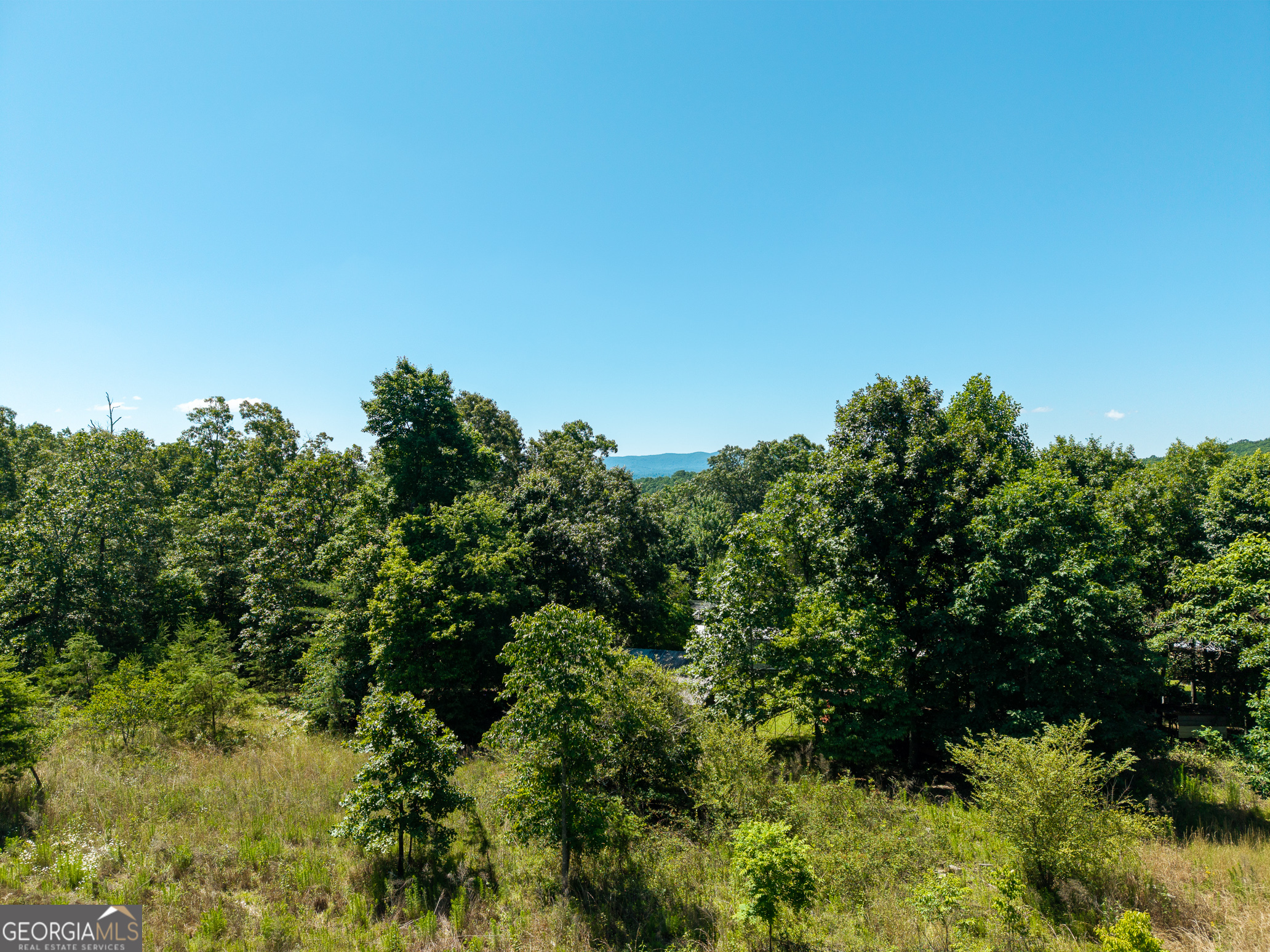 46 Green Kirby Lane Property Photo 16