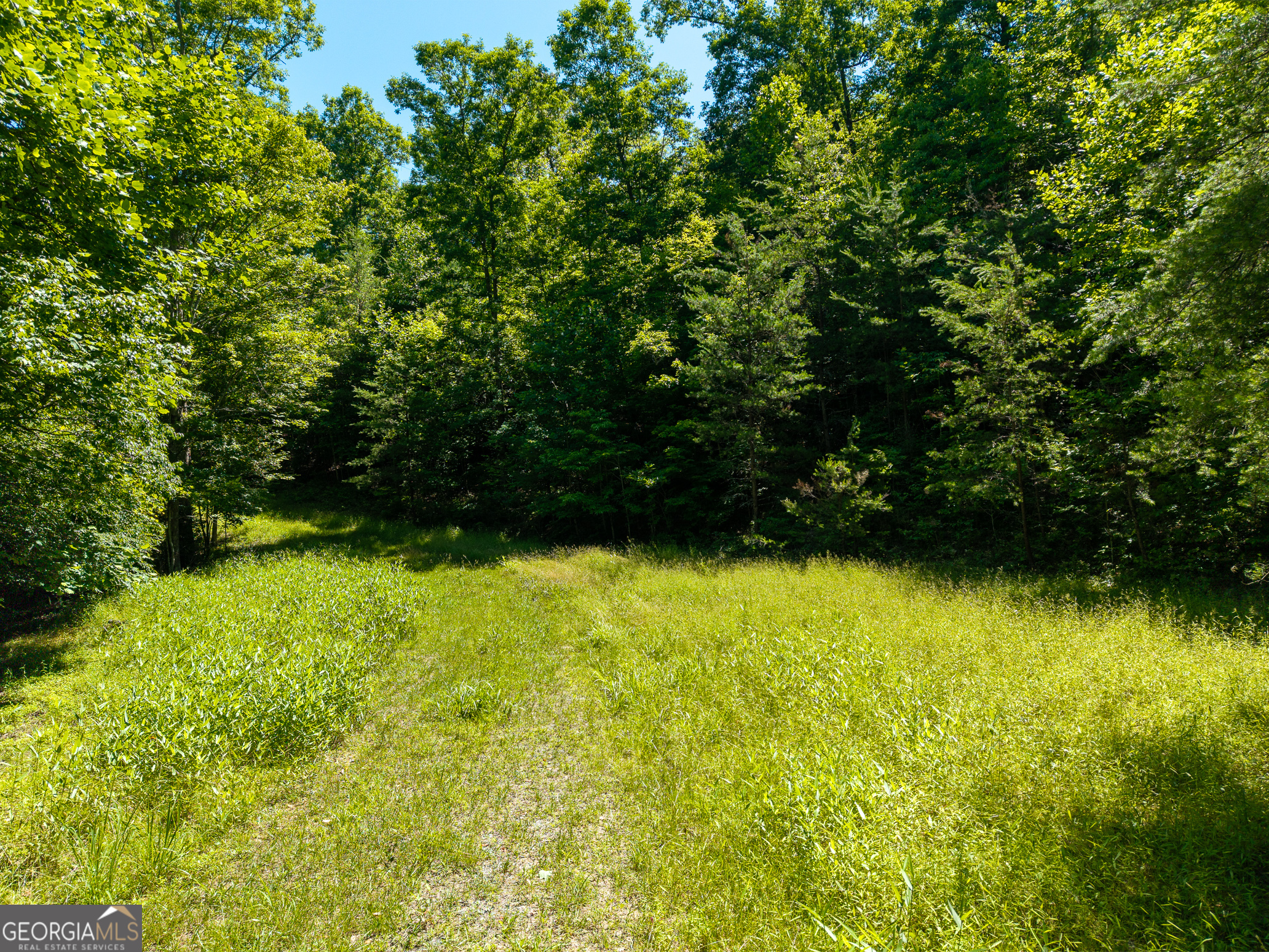 46 Green Kirby Lane Property Photo 22