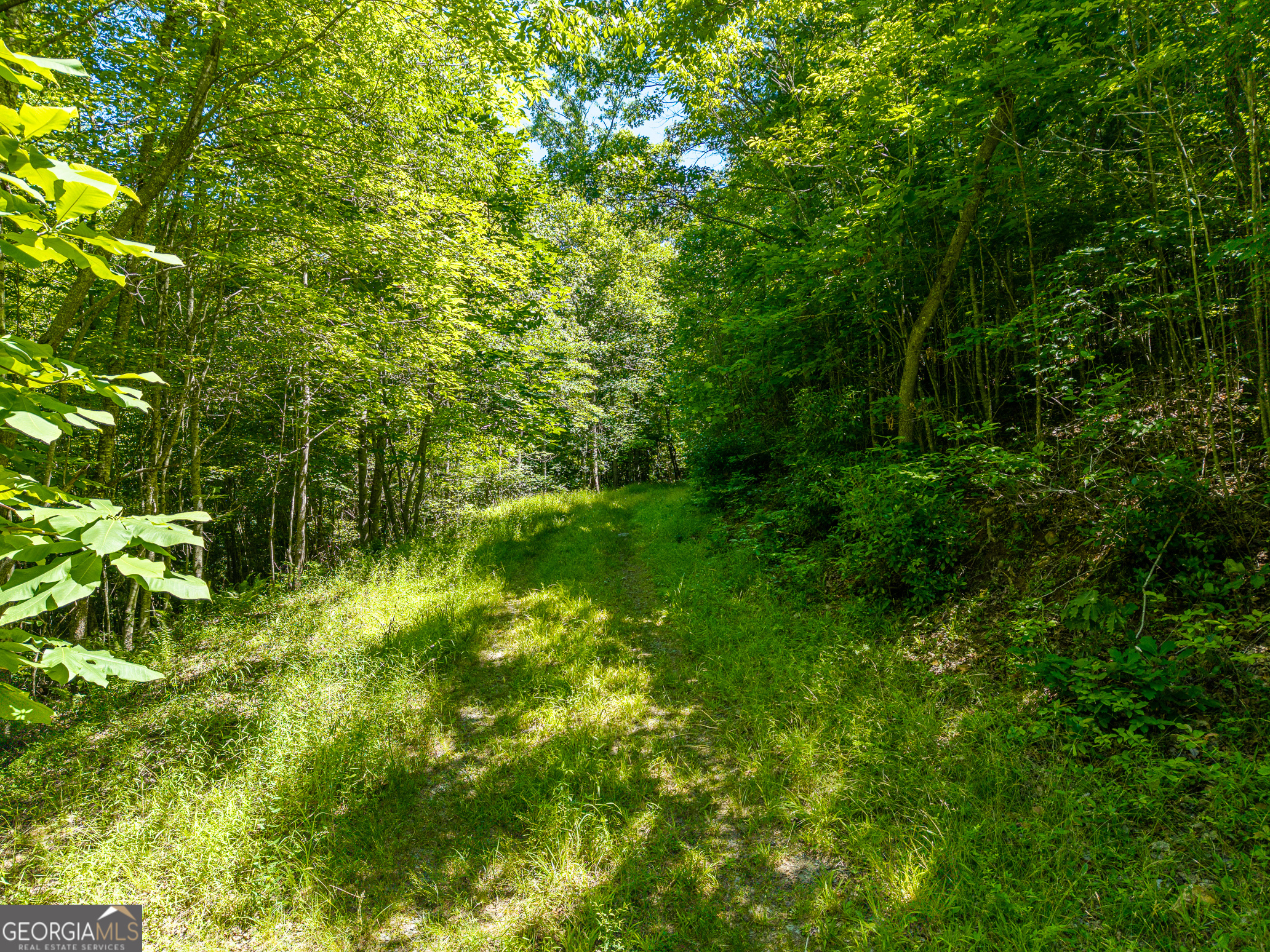 46 Green Kirby Lane Property Photo 23