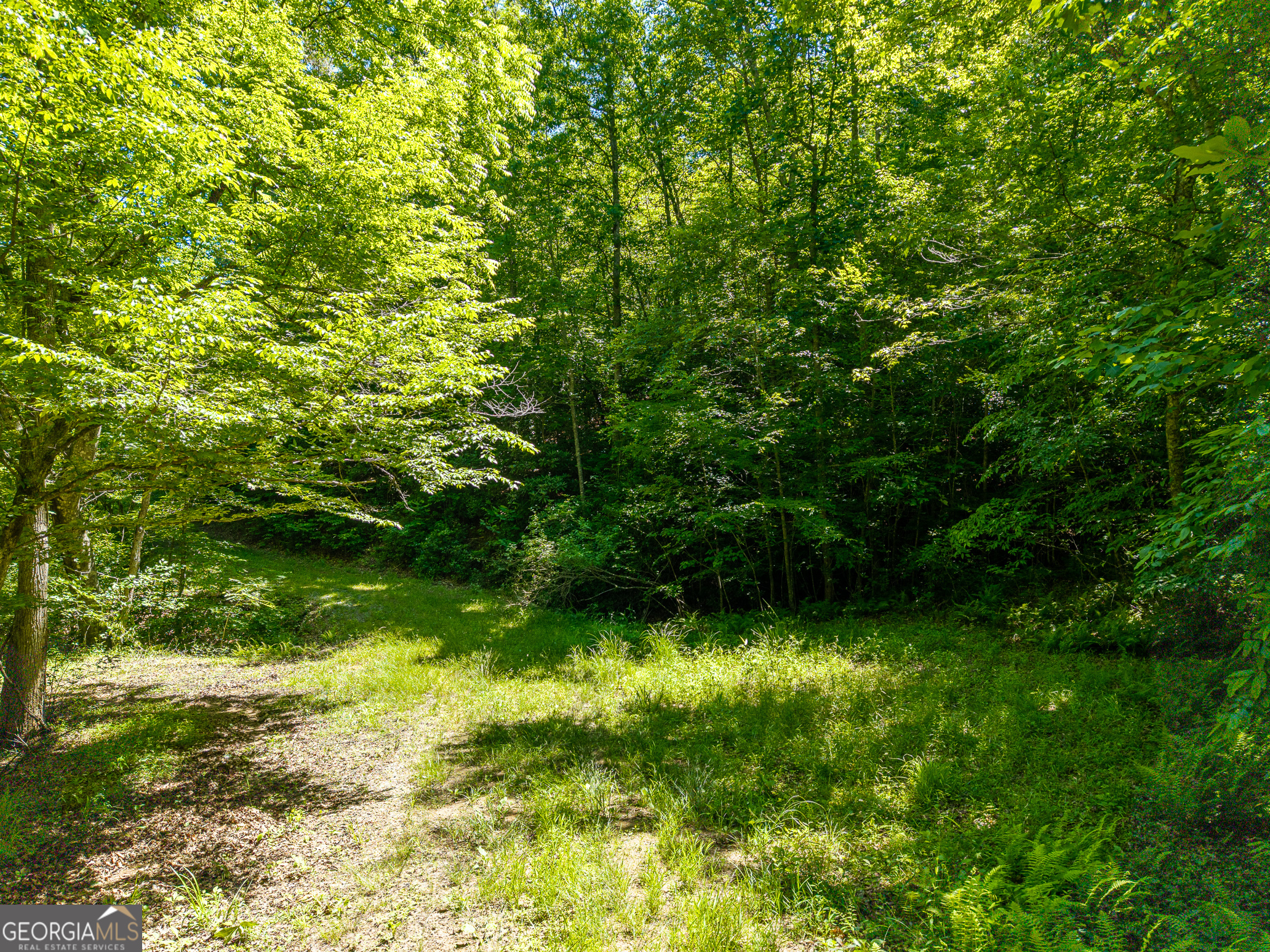 46 Green Kirby Lane Property Photo 25