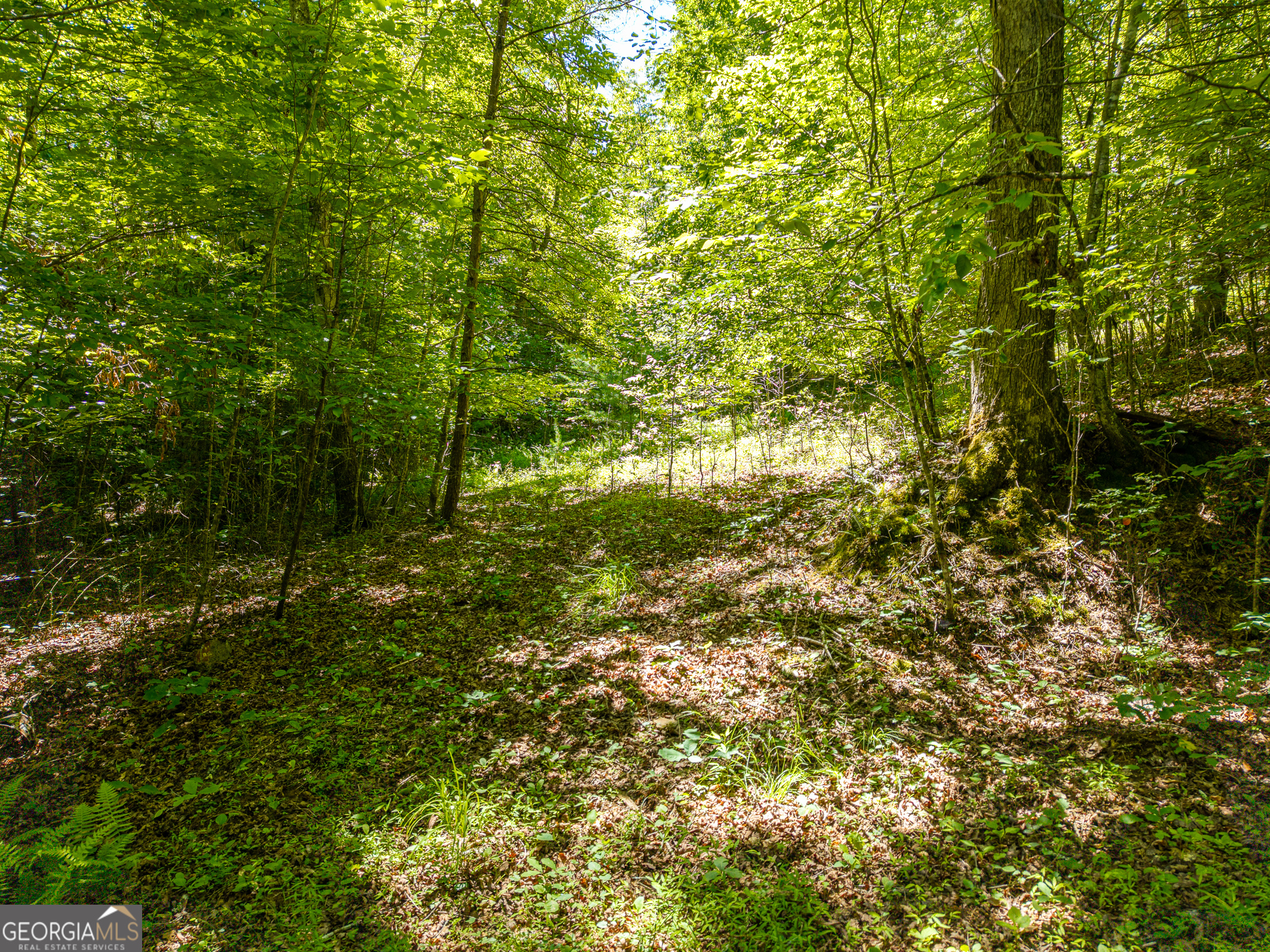 46 Green Kirby Lane Property Photo 26