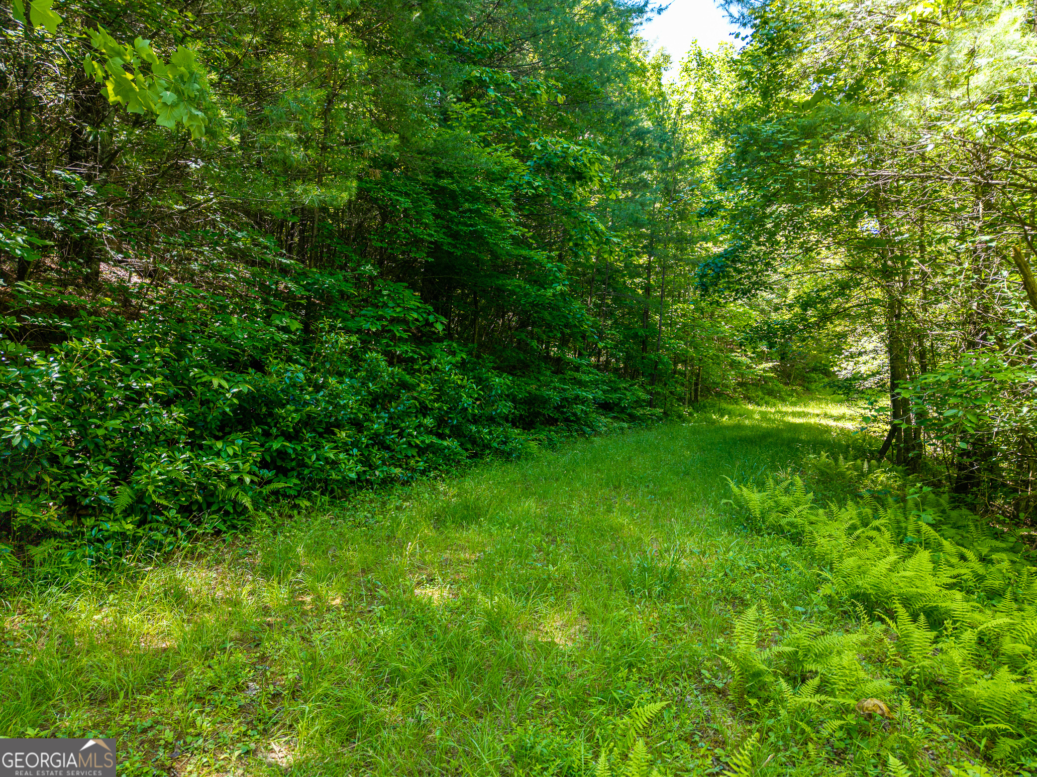 46 Green Kirby Lane Property Photo 29