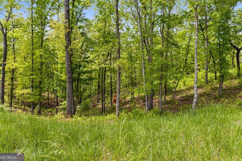 Lot 39 Jakes Landing Way Property Photo 1