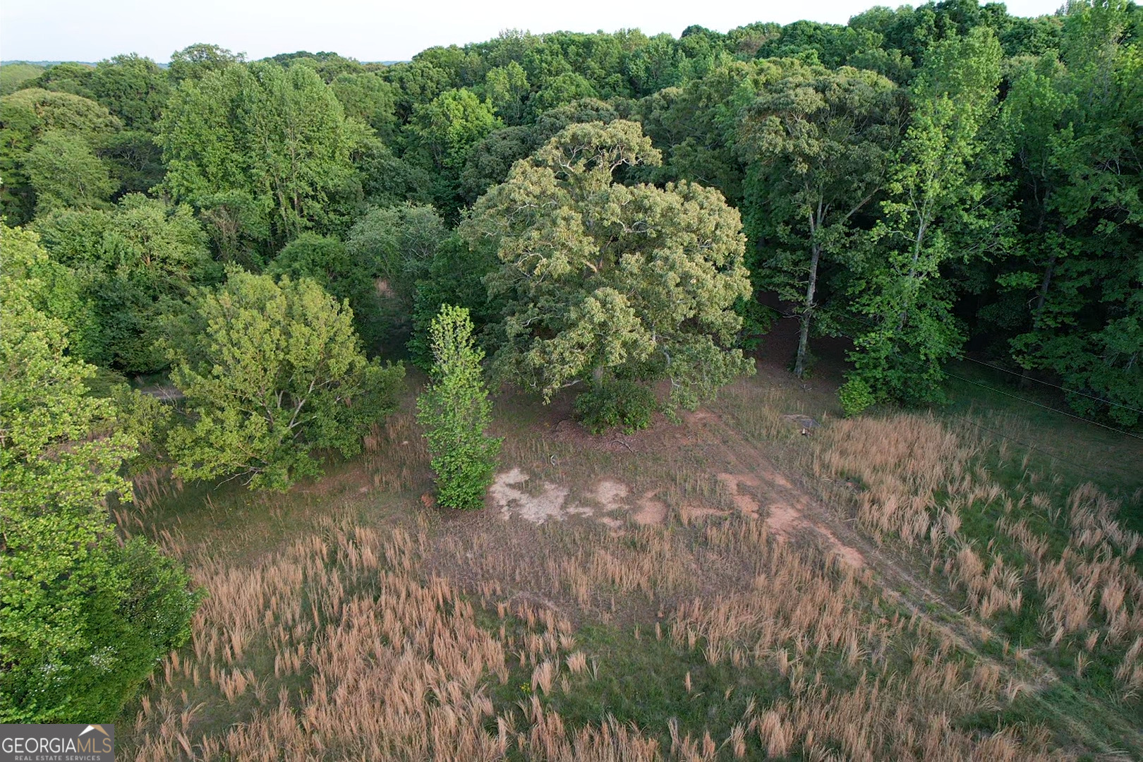 121 Carver Drive Property Photo 2