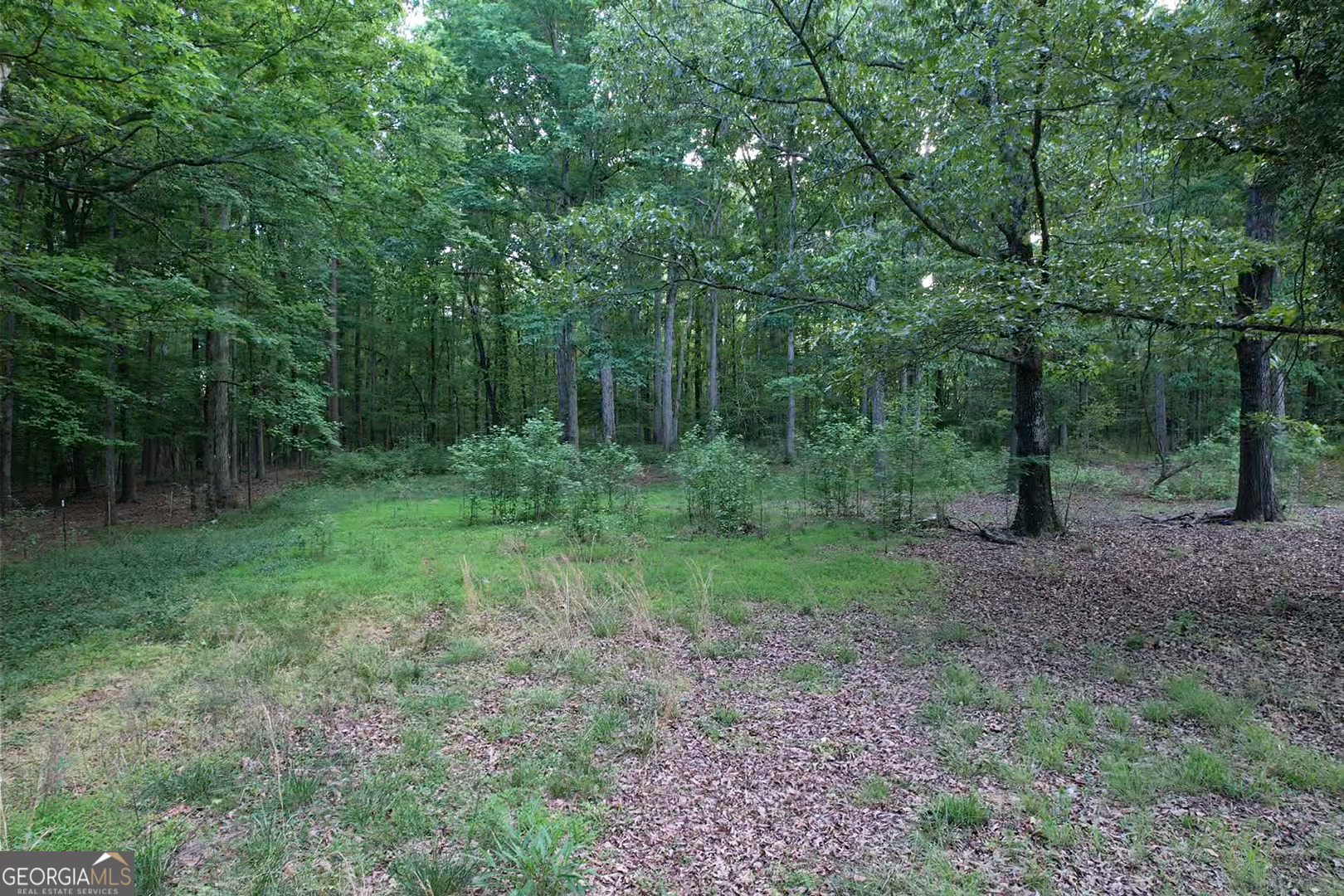 121 Carver Drive Property Photo 3