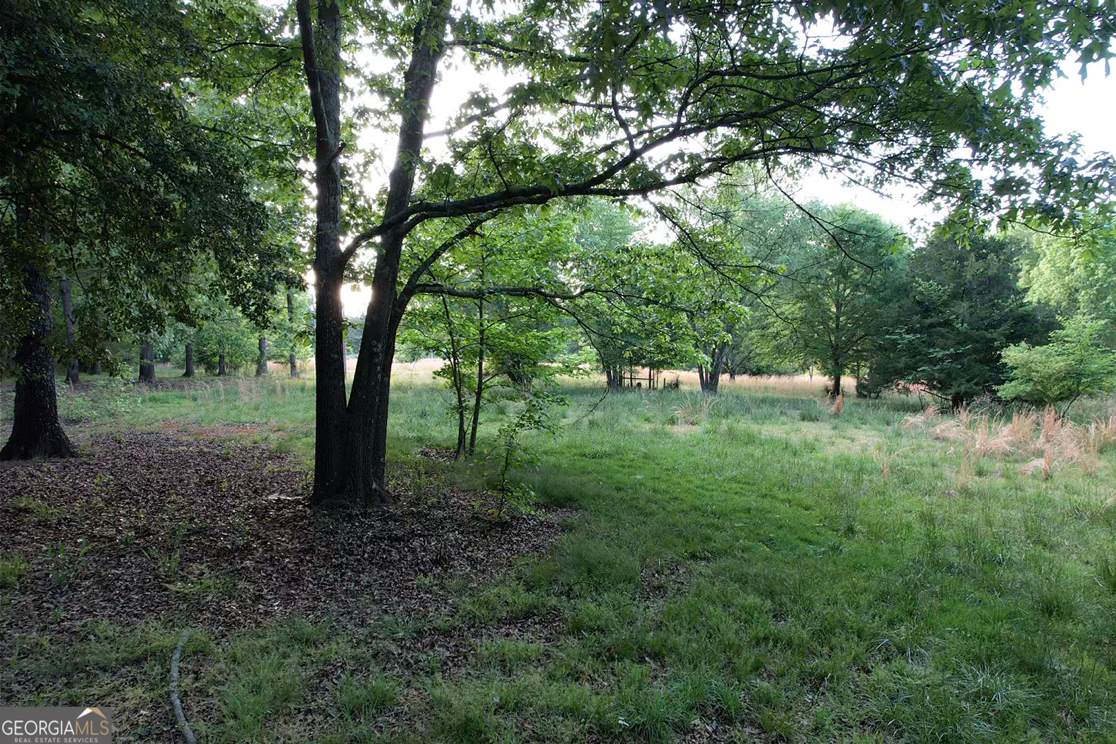 121 Carver Drive Property Photo 4