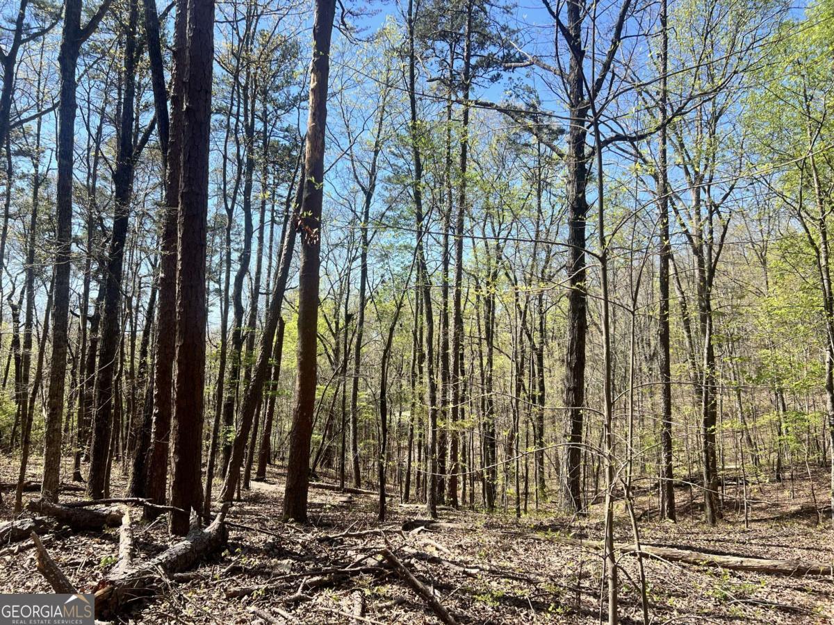 LOT 93 Doll Mountain Road Property Photo 1