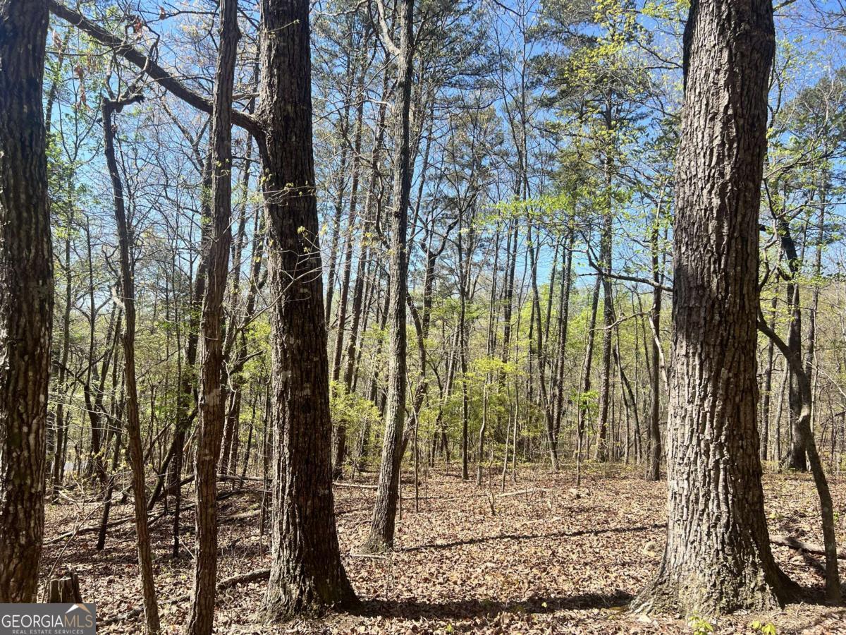 Lot 92 Doll Mountain Road Property Photo 1