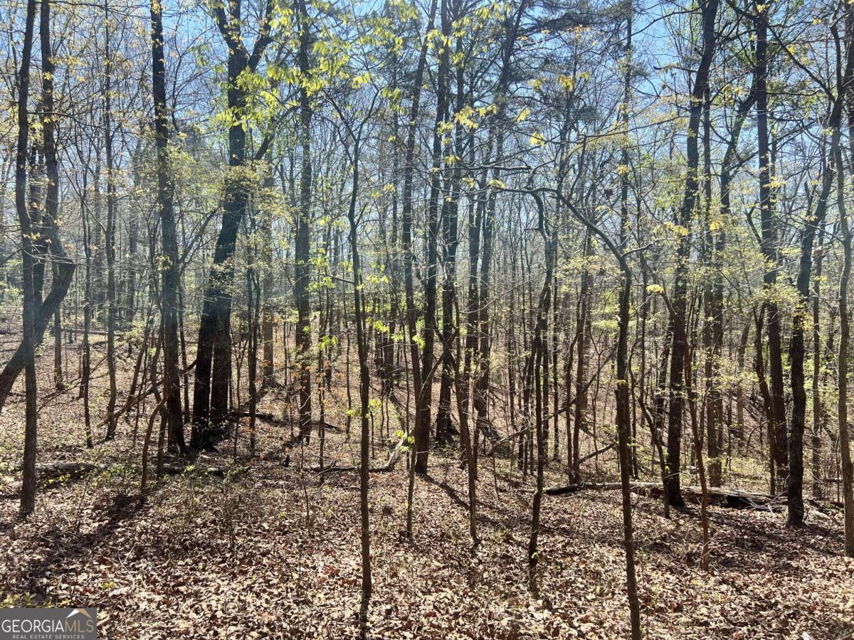 Lot 92 Doll Mountain Road Property Photo 3