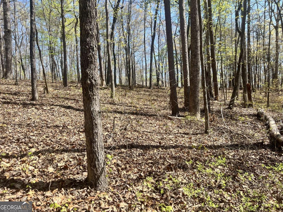 Lot 92 Doll Mountain Road Property Photo 4