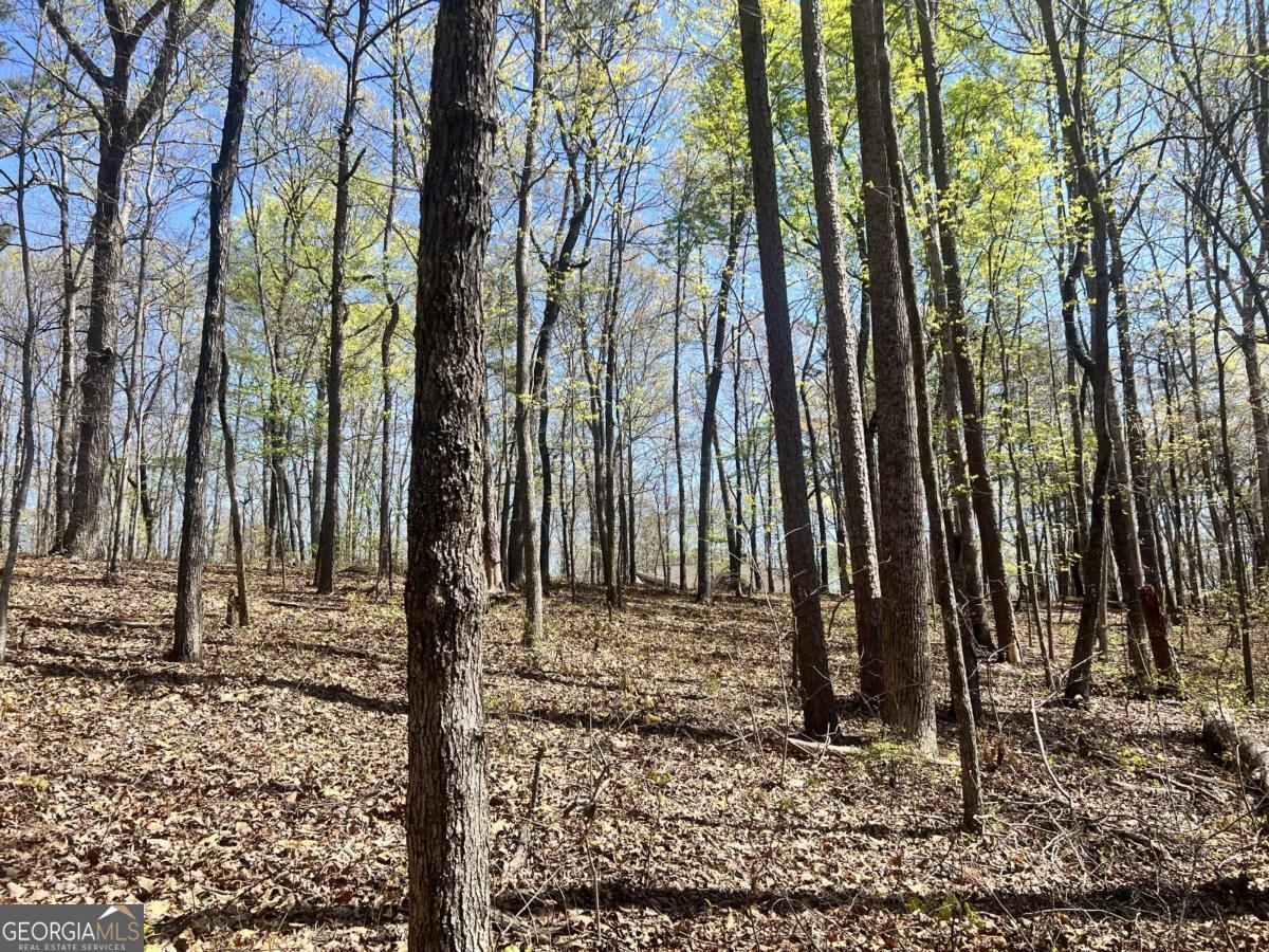 Lot 92 Doll Mountain Road Property Photo 5