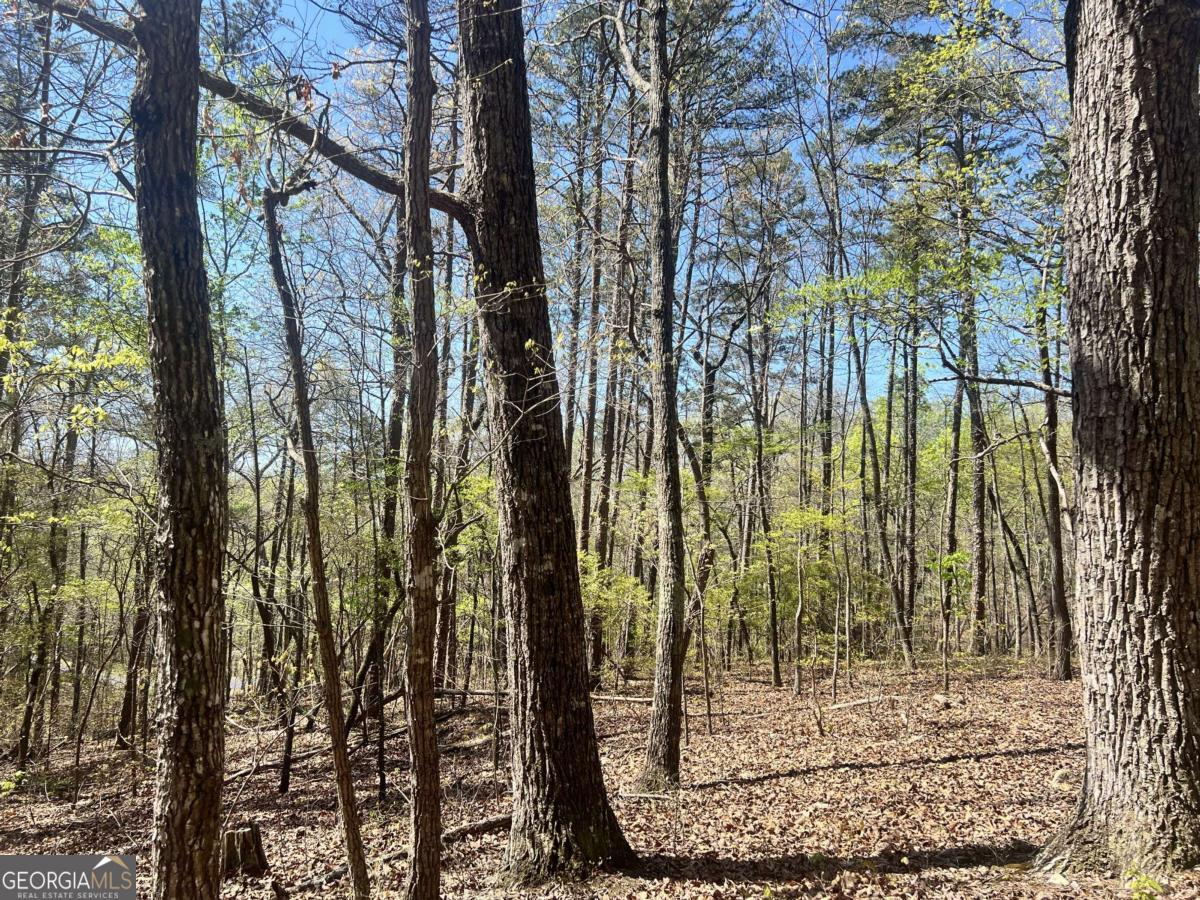 Lot 92 Doll Mountain Road Property Photo 6