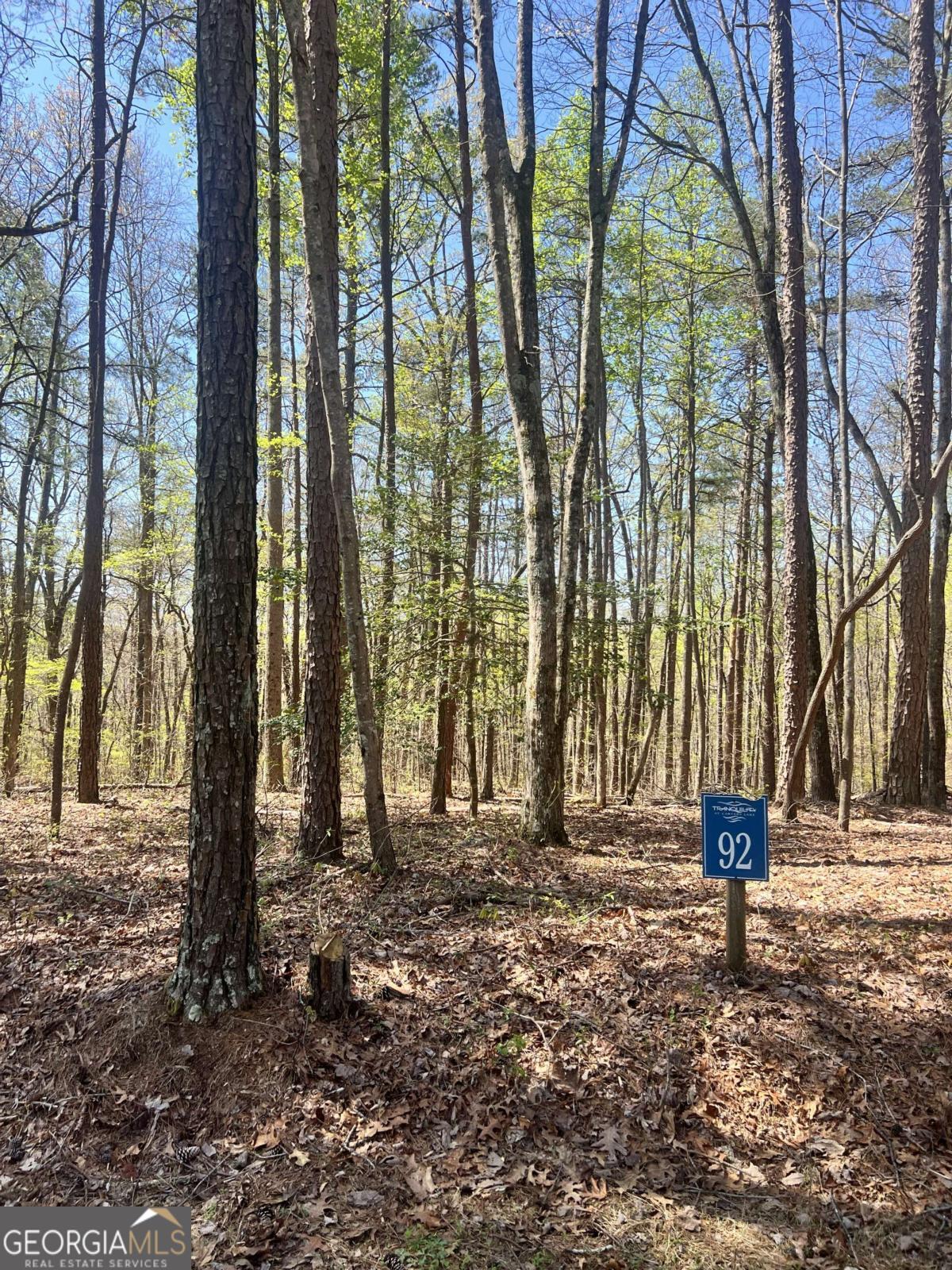Lot 92 Doll Mountain Road Property Photo 7