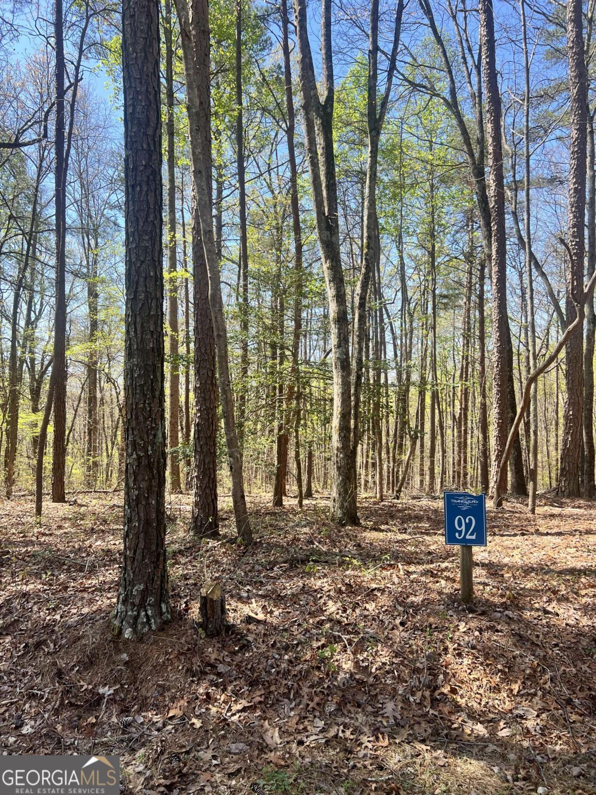 Lot 92 Doll Mountain Road Property Photo 8