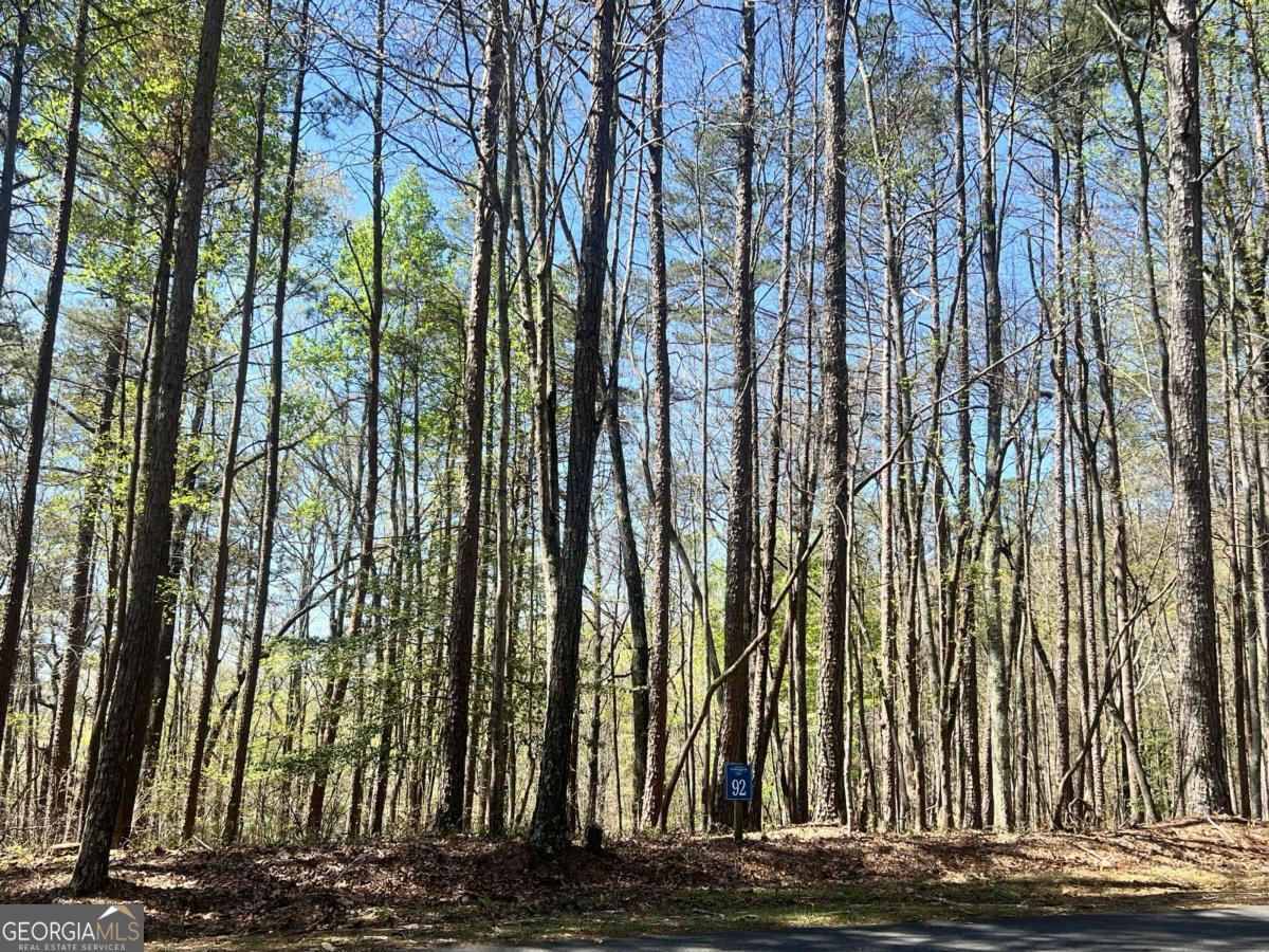 Lot 92 Doll Mountain Road Property Photo 10