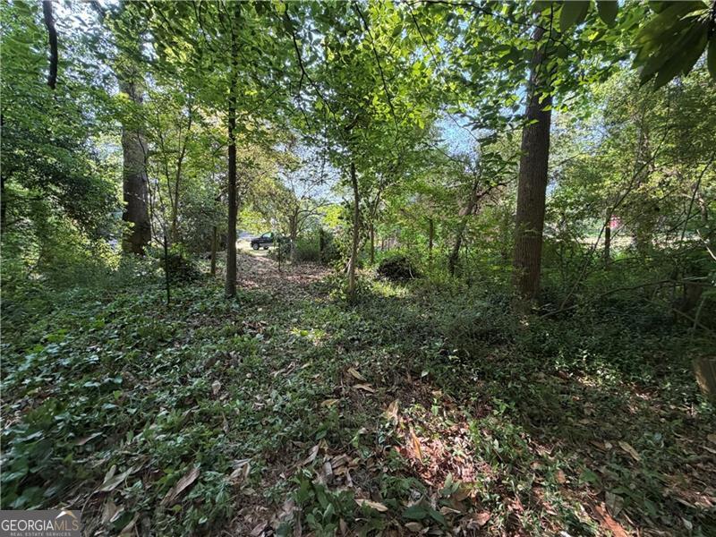 0 Manning Drive Property Photo 1