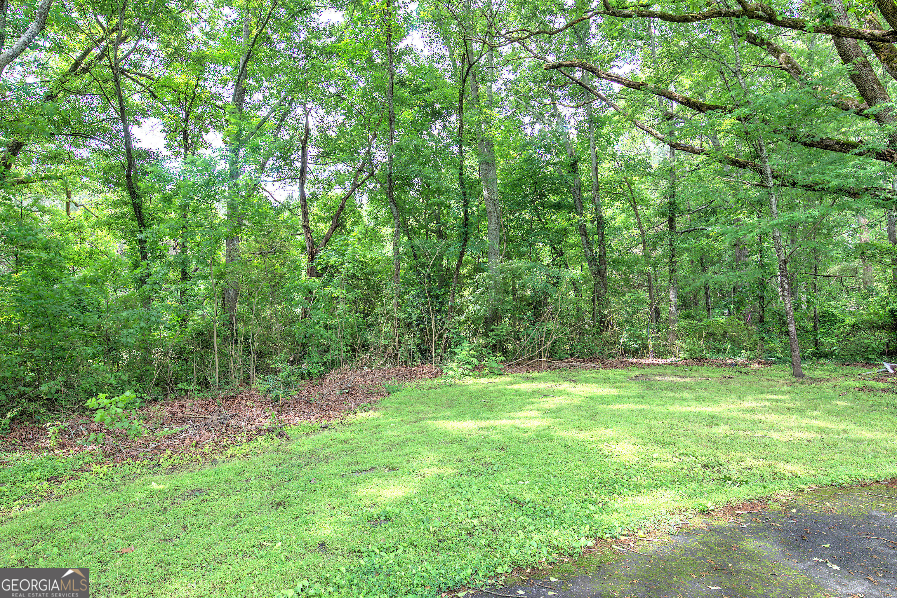 167 Carrollton Street Property Photo 7