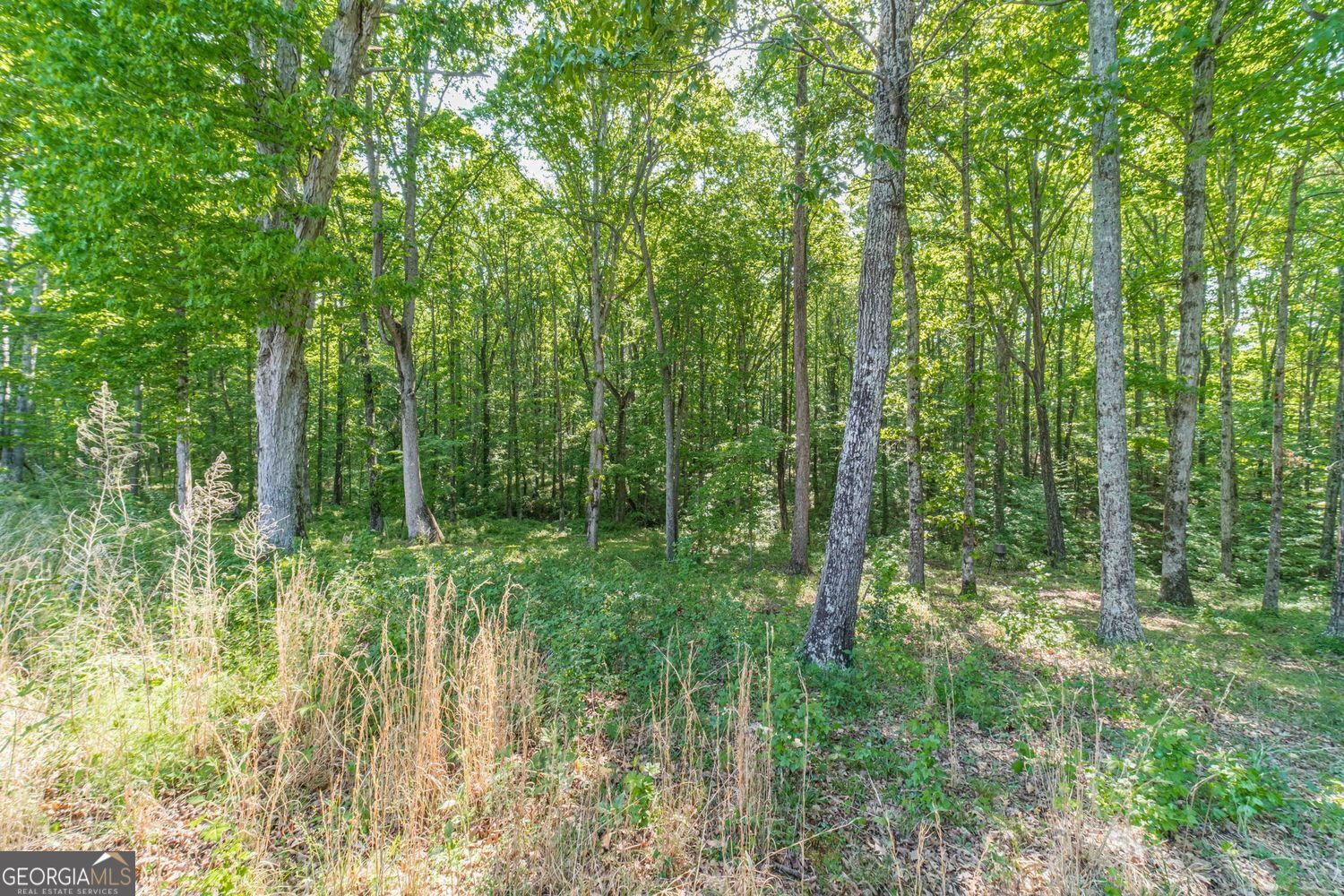 2124 Stonegate Way Property Photo 44