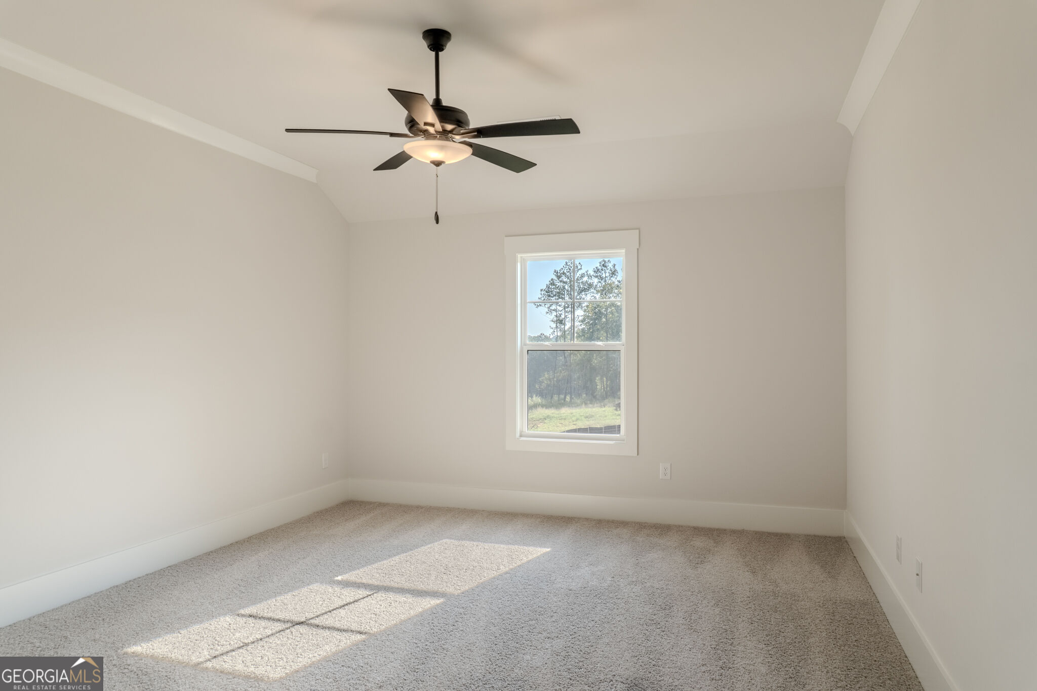 70 Amelia Court Property Photo 48