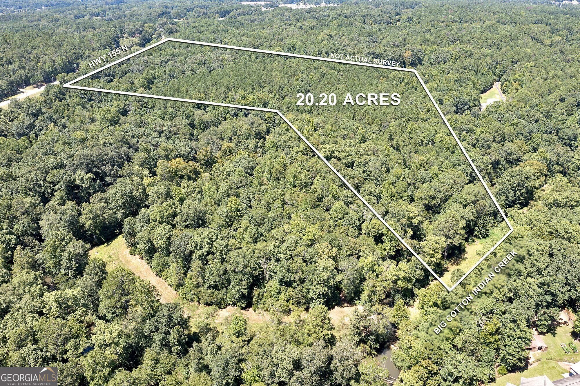 3154 Highway 155 N Property Photo 10