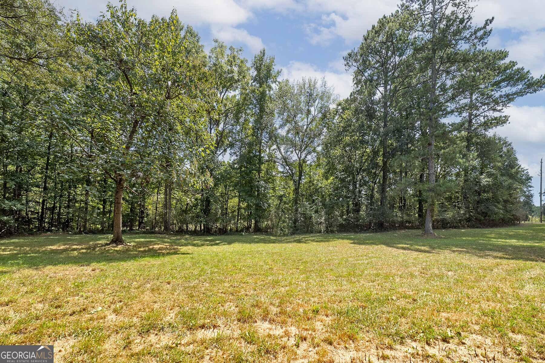 3154 Highway 155 N Property Photo 13