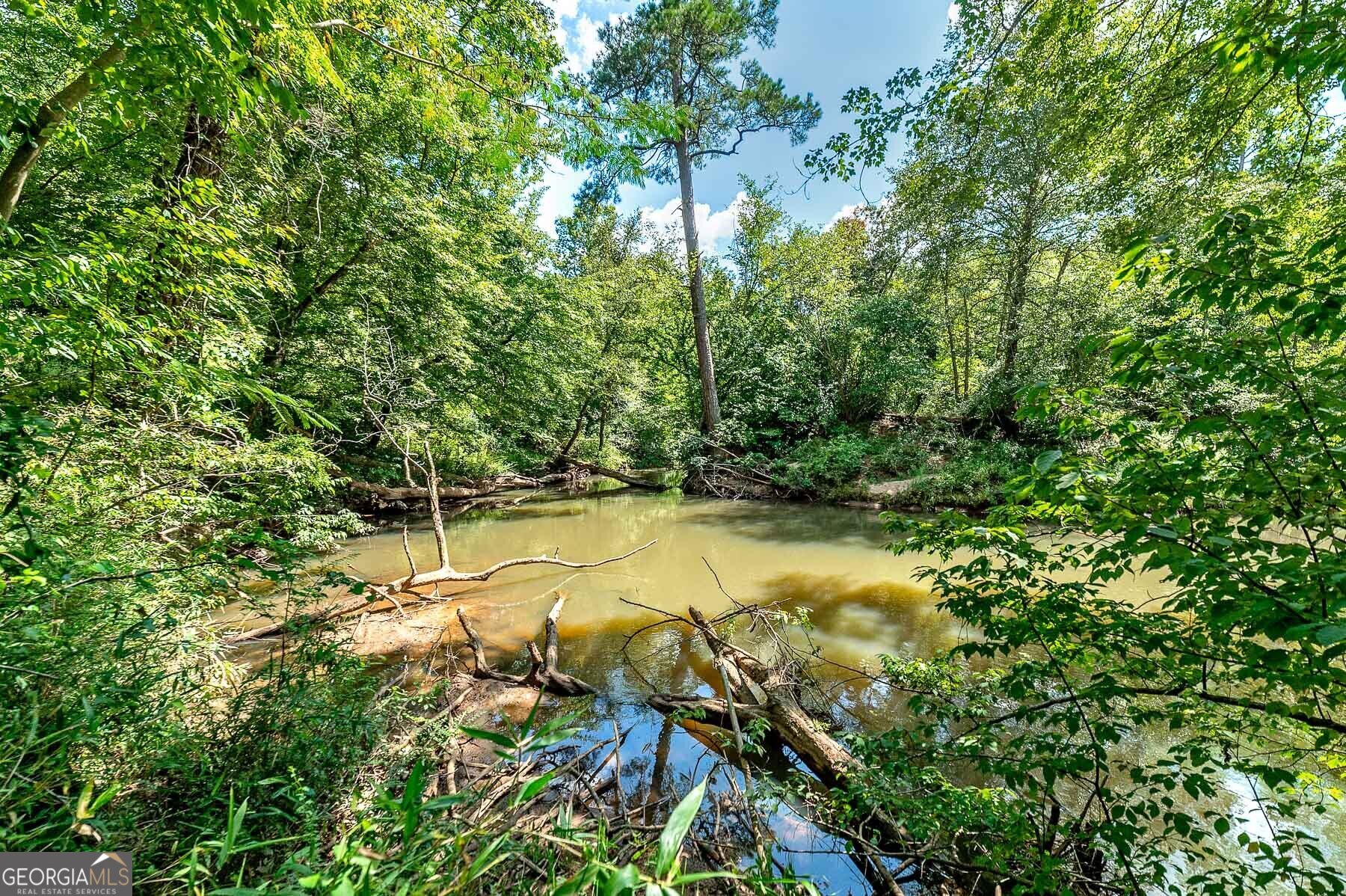 3112 Highway 155 N Property Photo 19