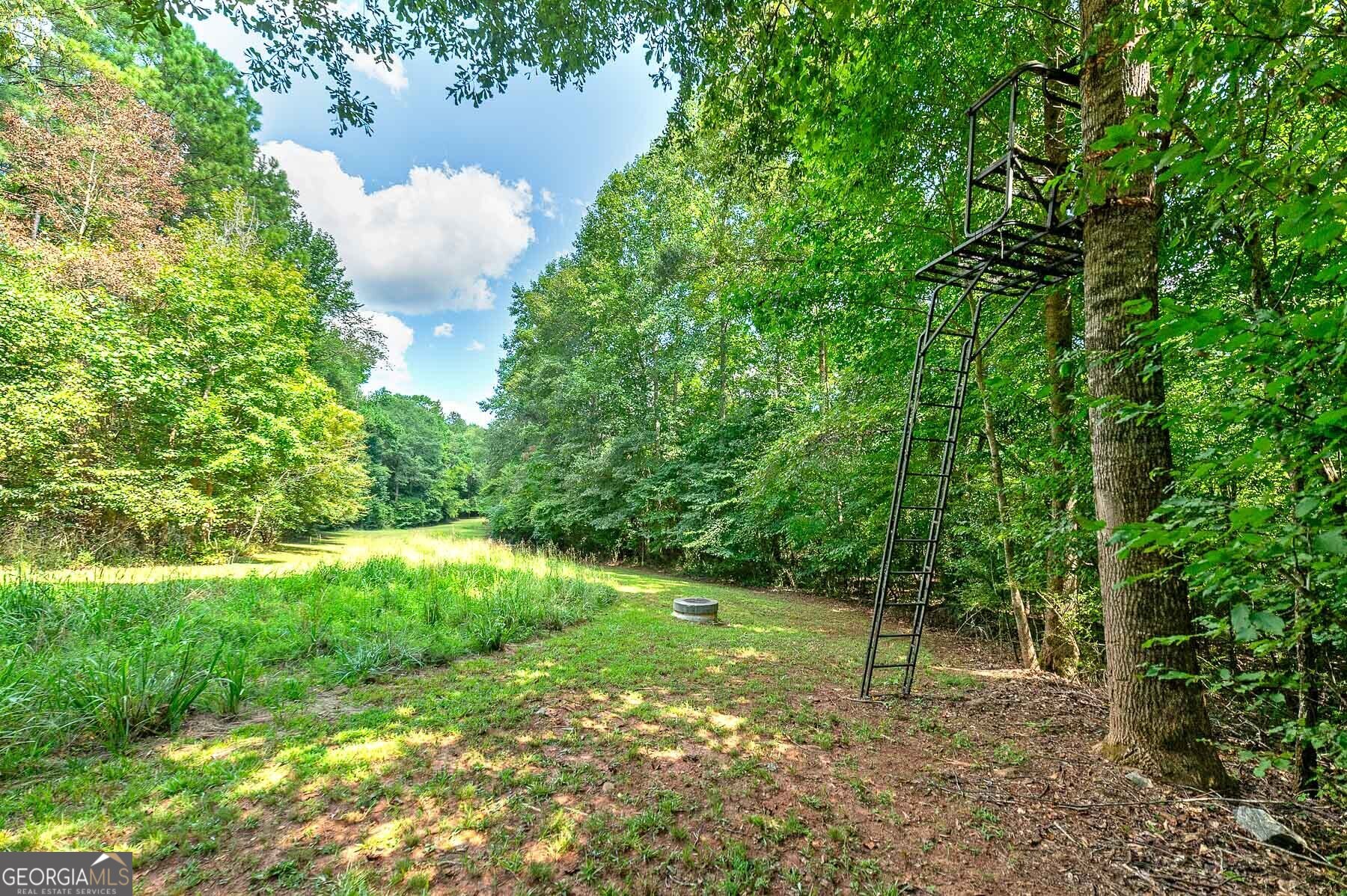 3112 Highway 155 N Property Photo 22