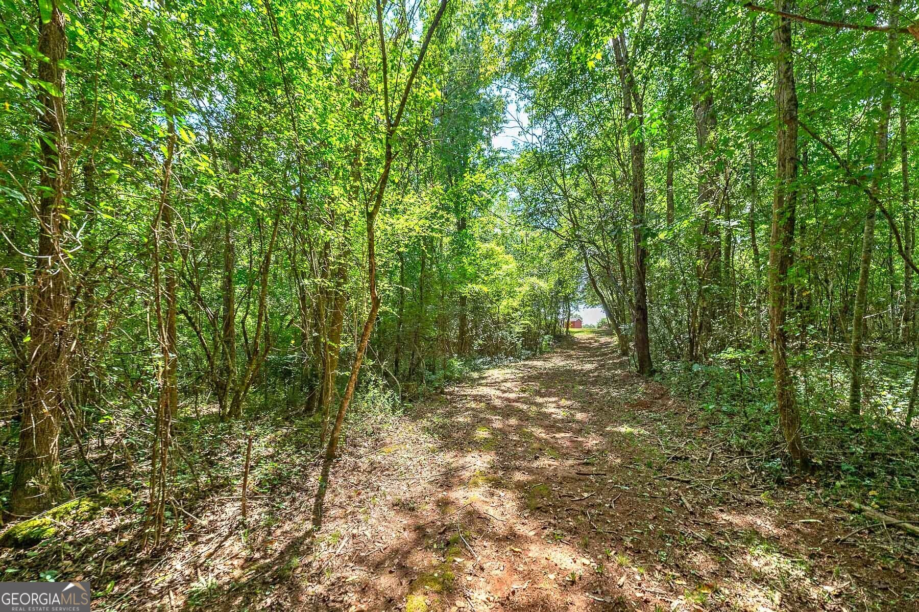 3112 Highway 155 N Property Photo 23