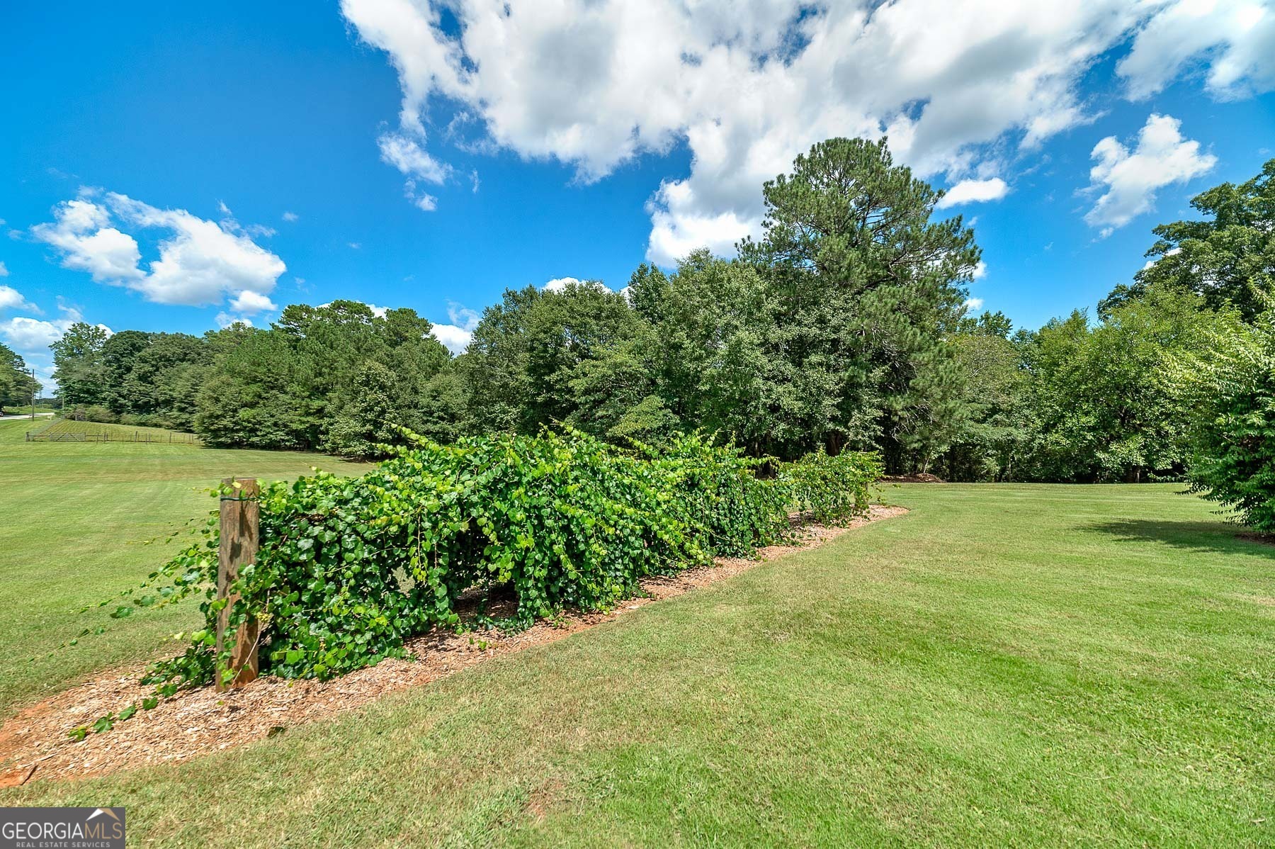 3112 Highway 155 N Property Photo 51