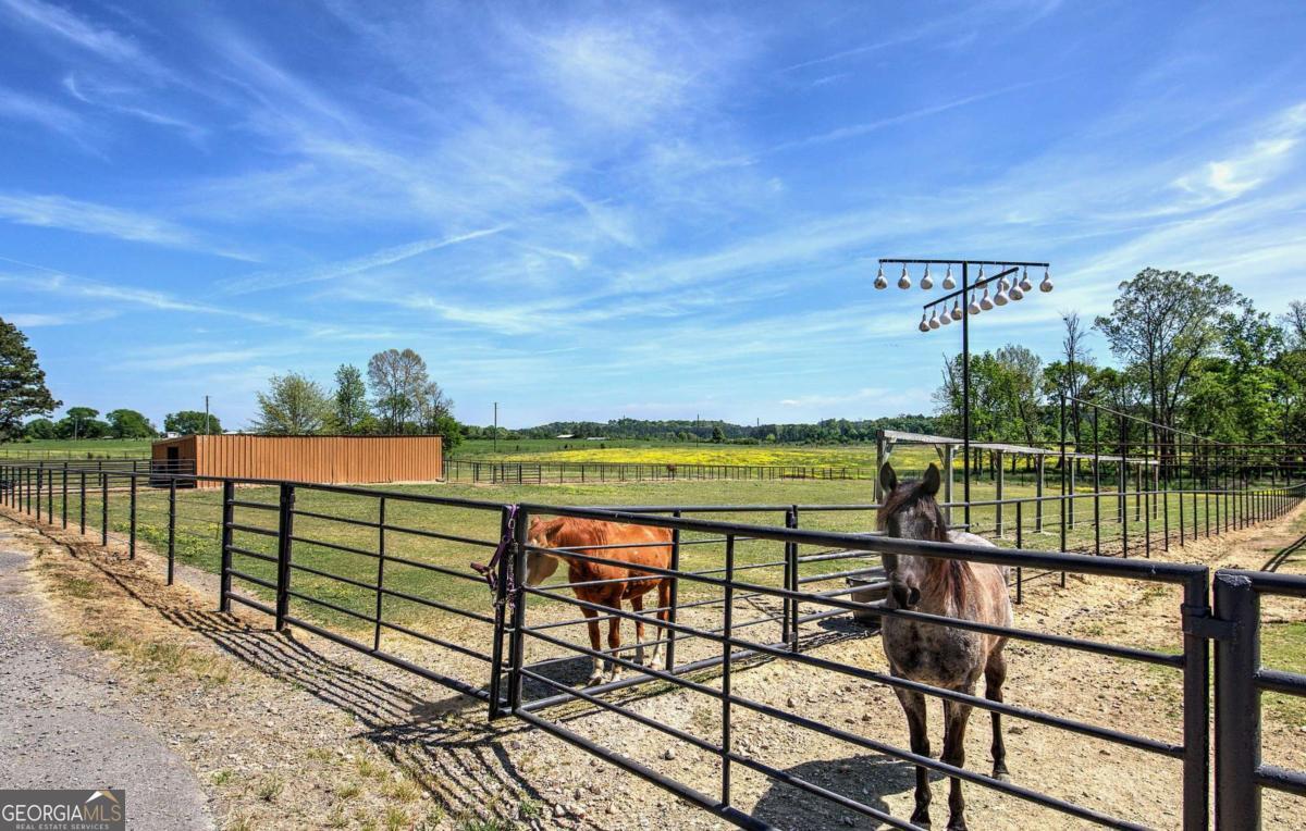 486 County Line Road Property Photo 2